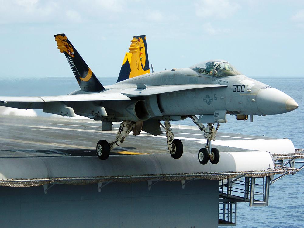 美國海軍航空隊的F / A-18大黃蜂戰機。