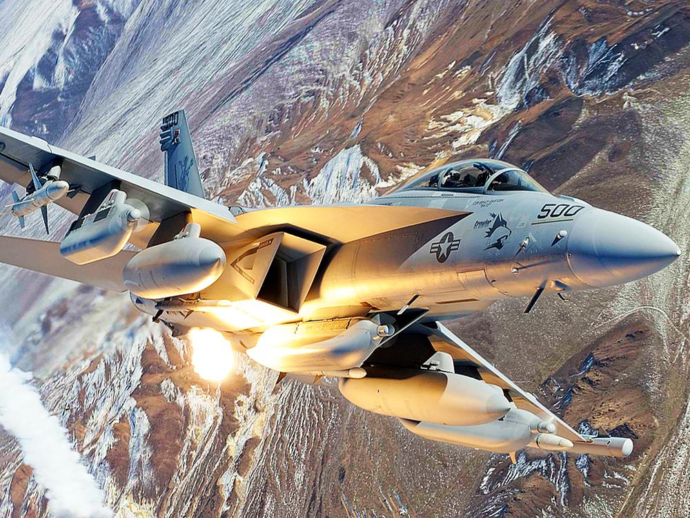 美國海軍航空隊的E / A-18G咆嘯者電戰機。