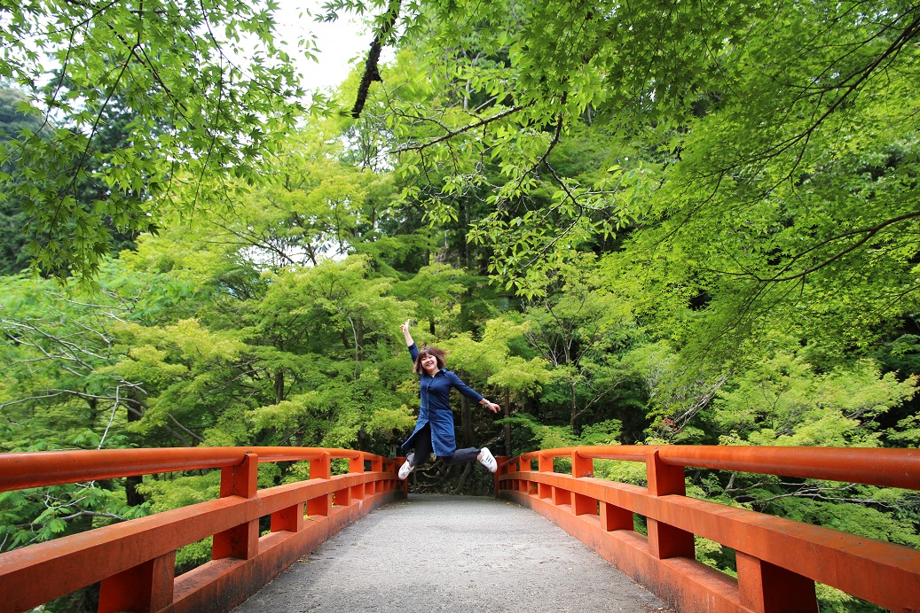 朱紅色的橋，被青楓包圍。