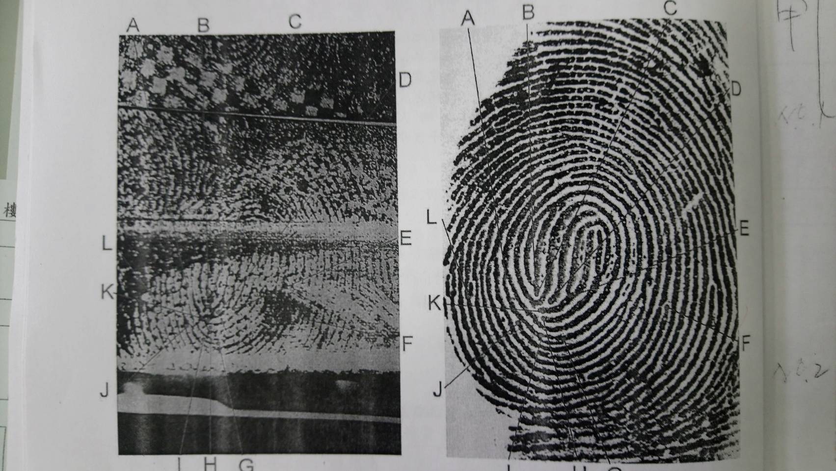 原本陷入膠著的假車禍、真搶劫疑案，16年後重新比對，終找到疑犯。