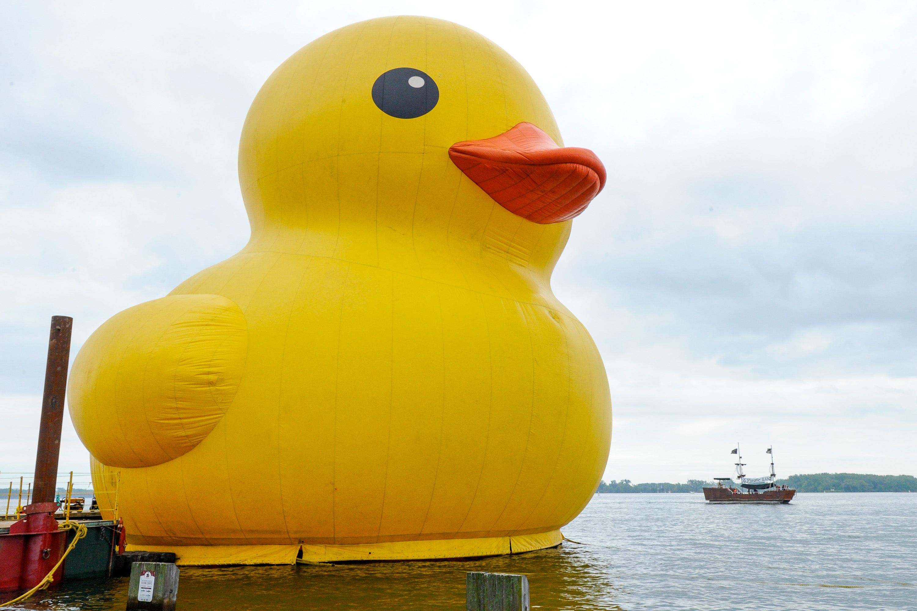 曾經掀起旋風的黃色小鴨，替各地人們帶來心理療癒效果。（東方IC）