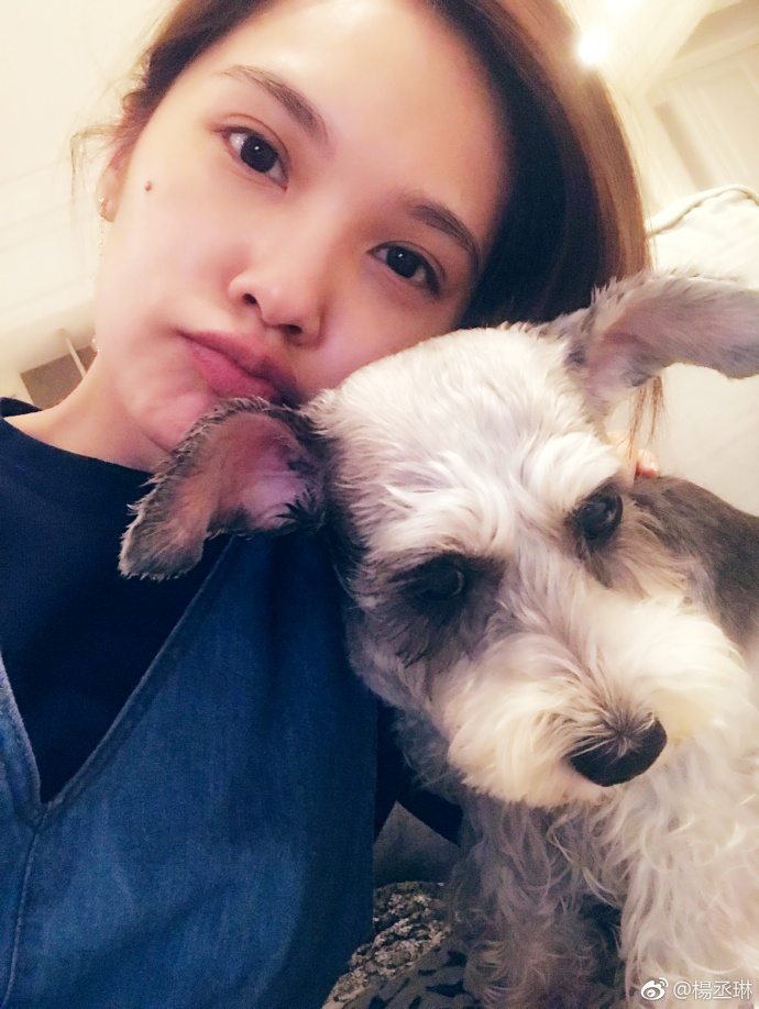 楊丞琳在粉絲頁上PO出與愛犬YUMI的合照,擔心牠的健康。(翻攝王牌星探)