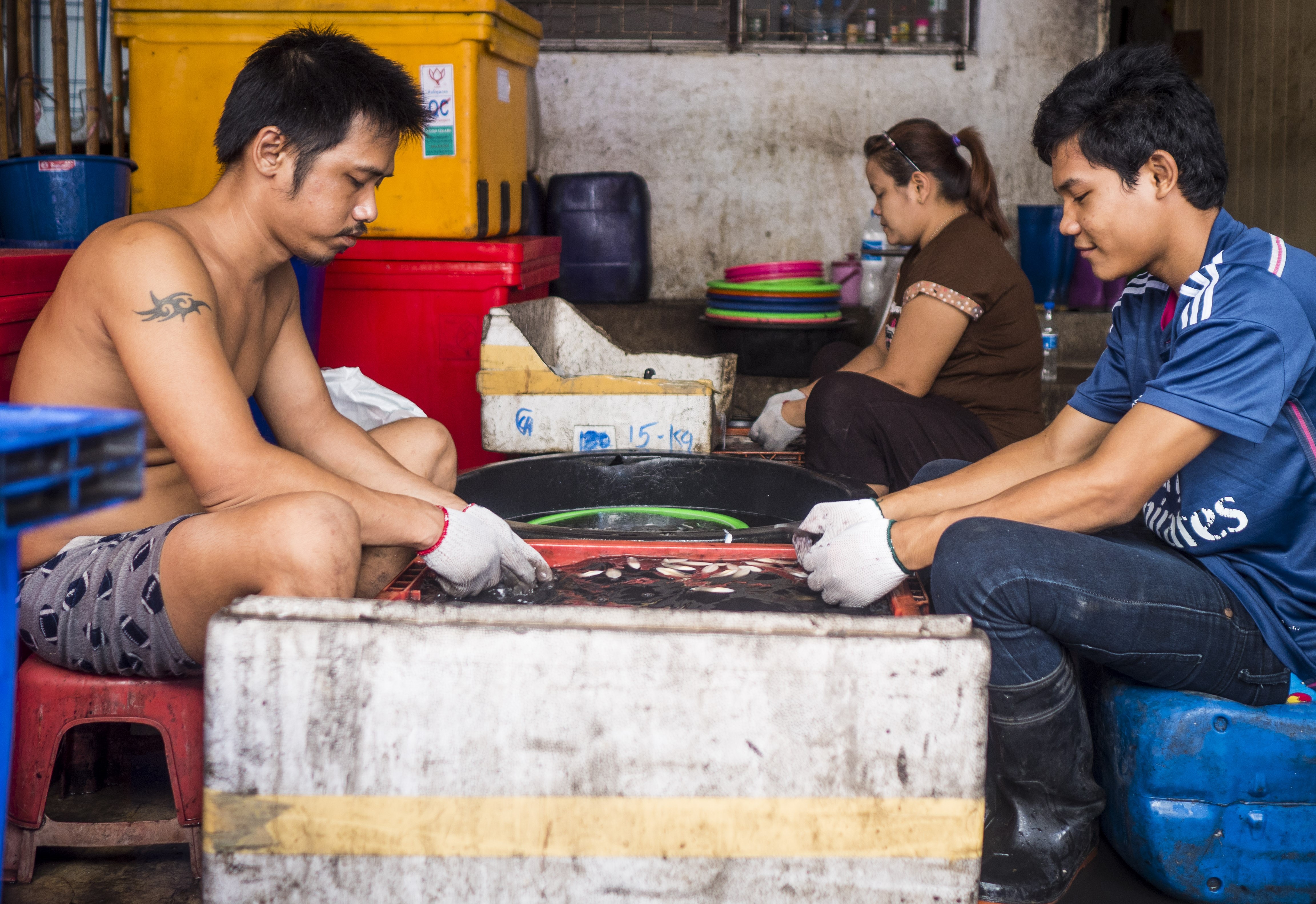 泰國水產業十分仰賴緬甸移工。