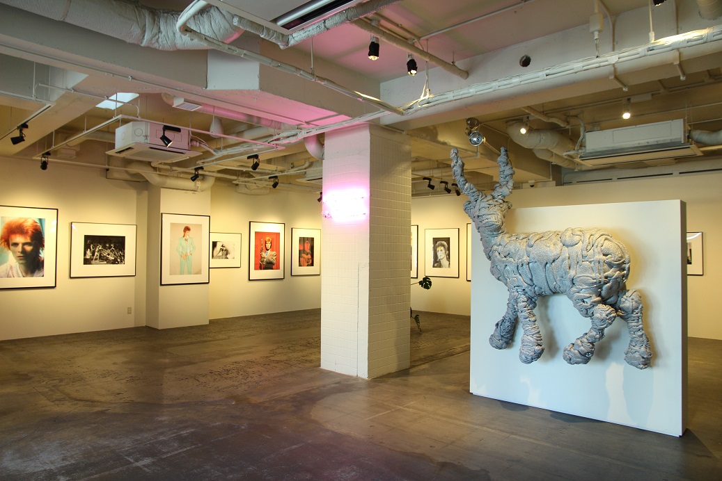 大廳的美術館，會更換不同藝術展覽。