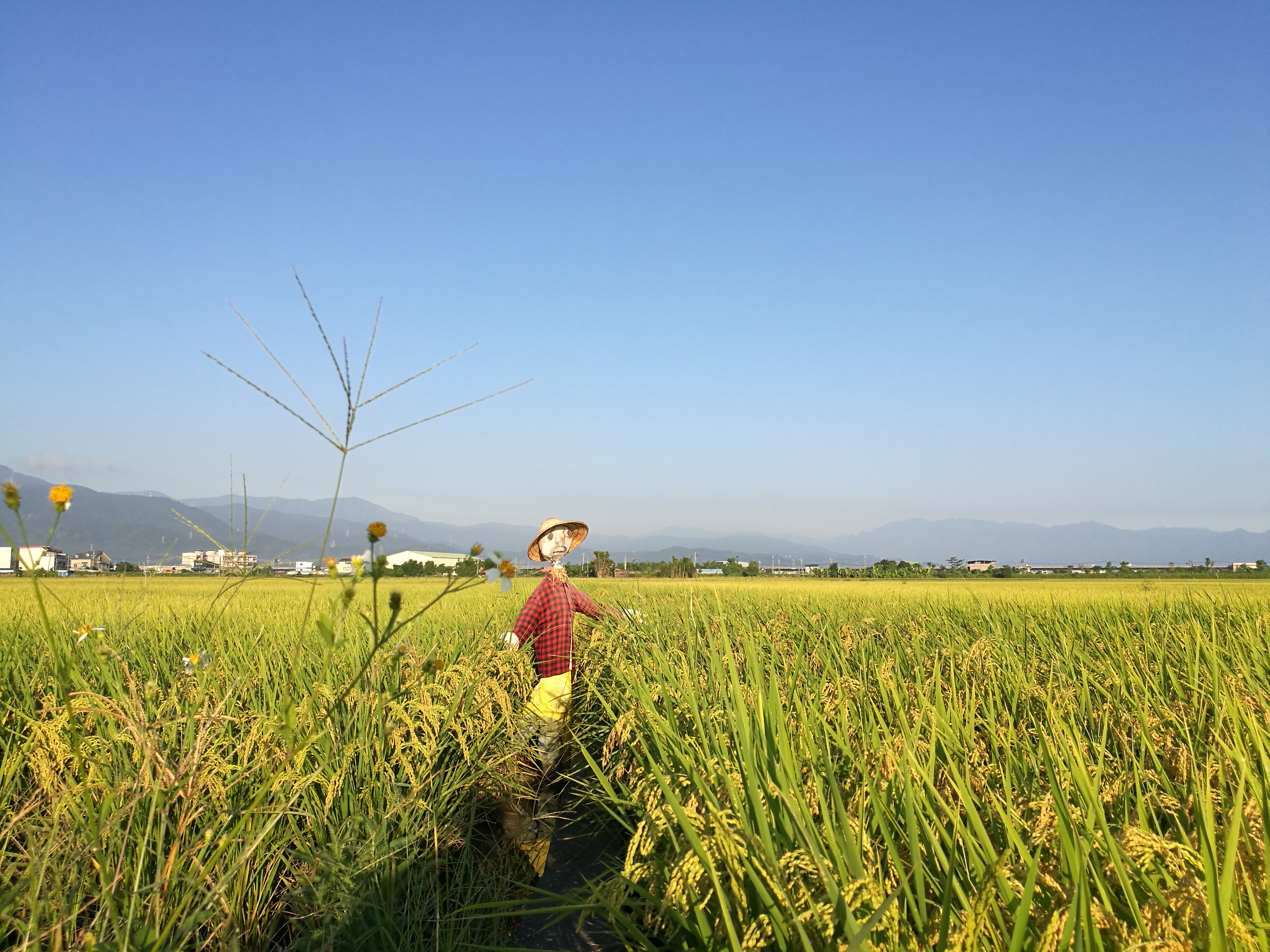 這是我們一般人最正常觀看事物的視角。