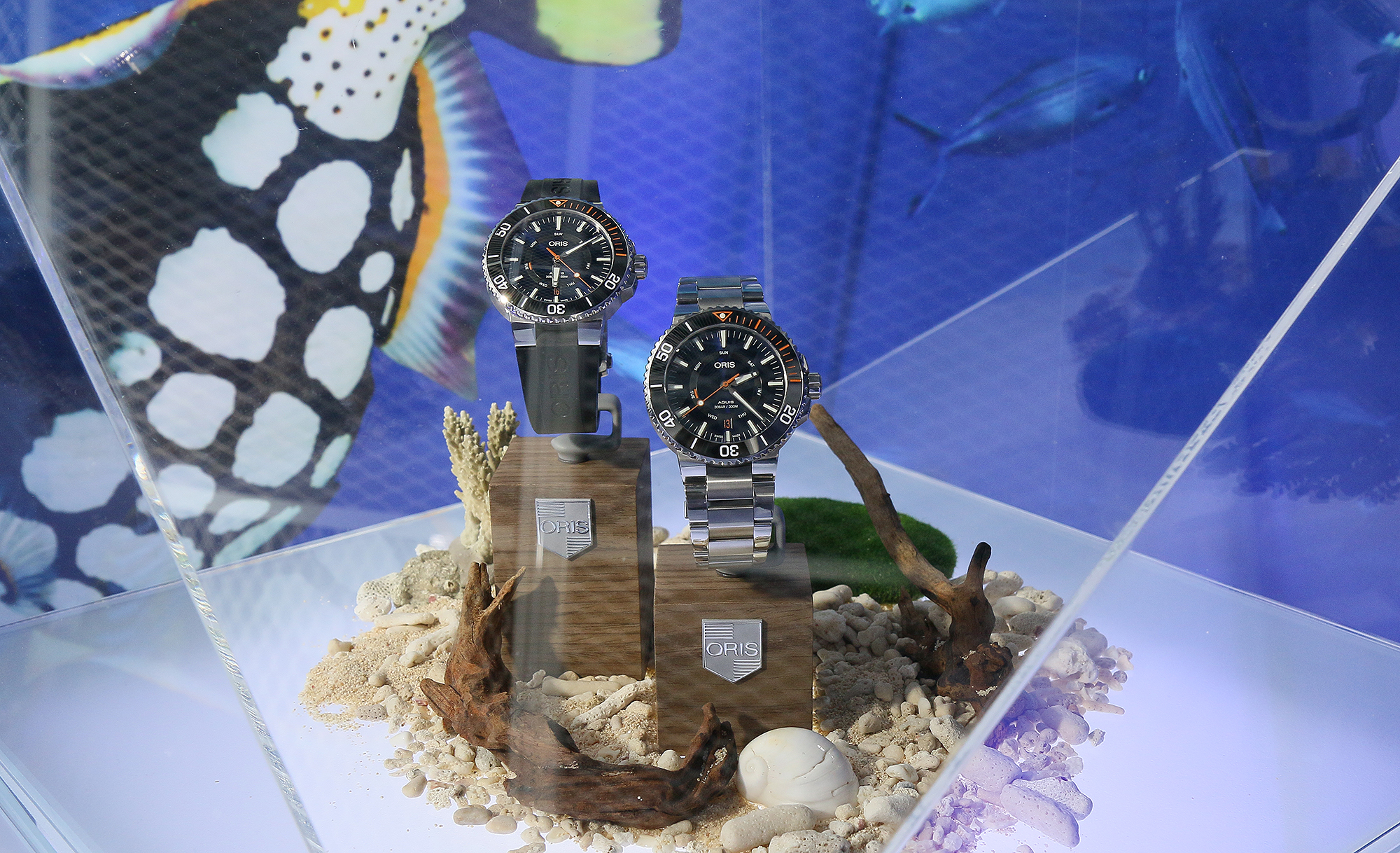 【錶壇焦點】雙髻鯊與鹿角珊瑚的邂逅？ORIS 全新Aquis系列潛水錶登台