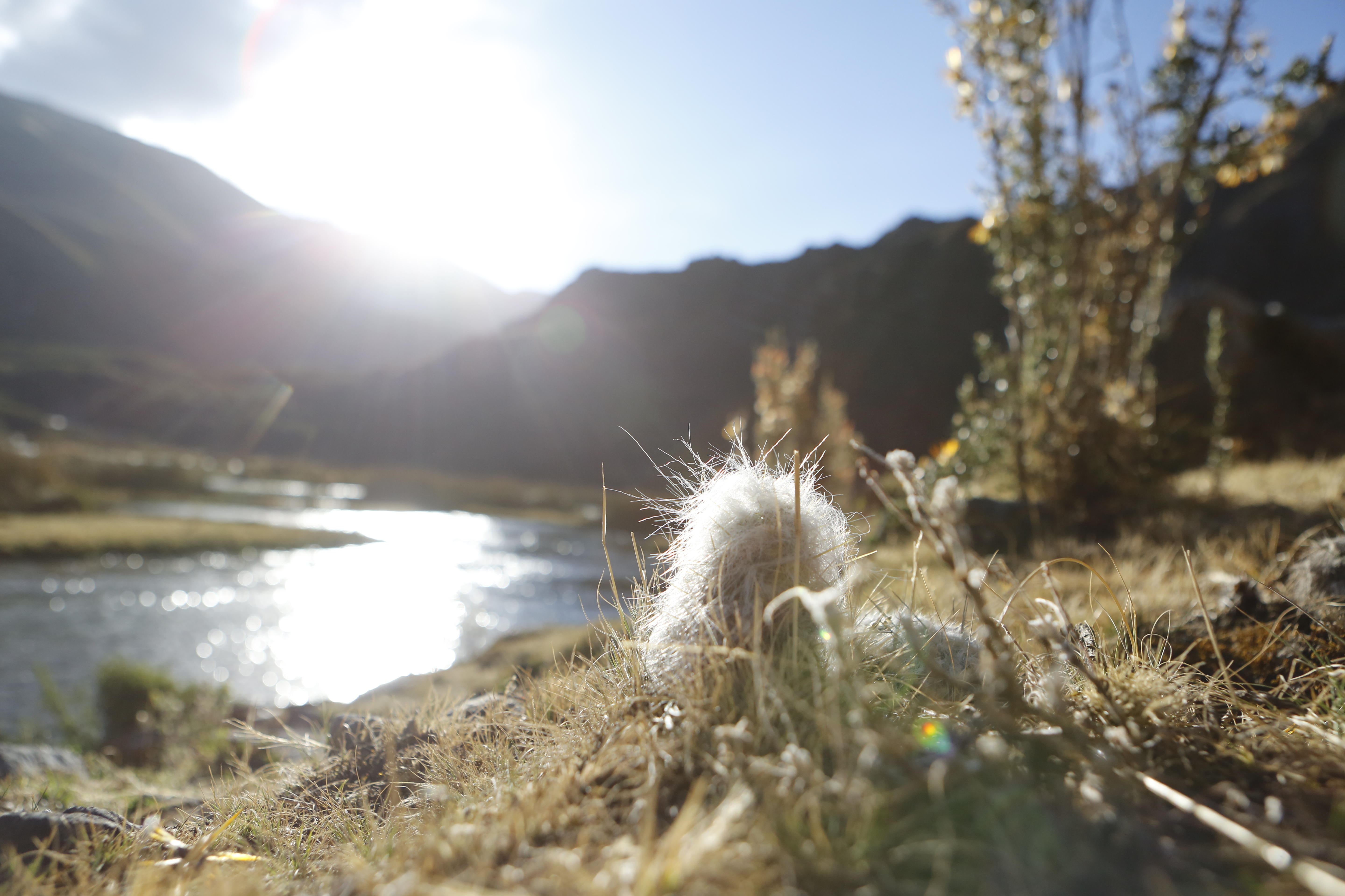 此行最後的目的地是海拔4,000公尺的高山湖泊。