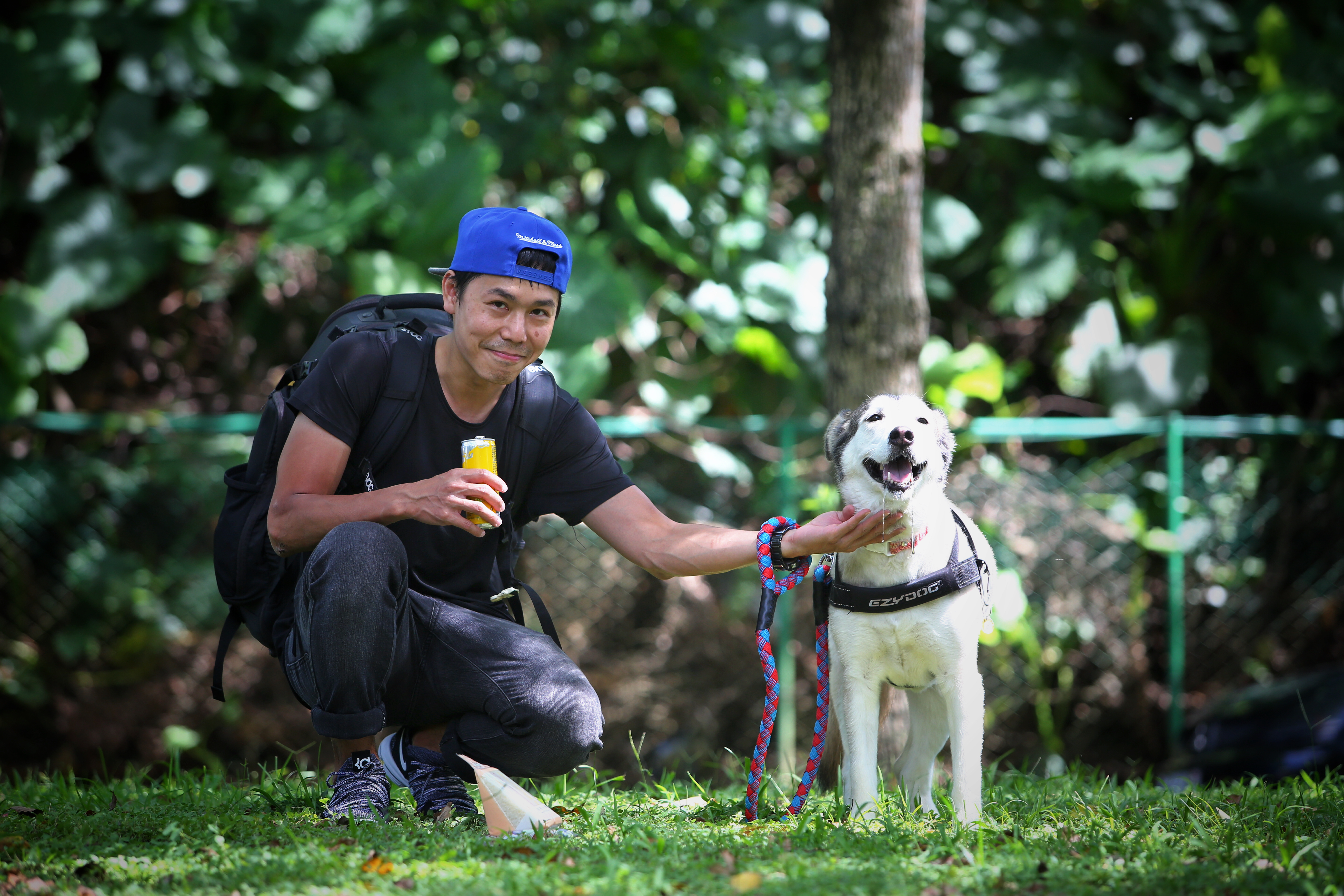 王冠文帶著哈姆回到領養的動物之家，哈姆因為害怕，嘴裡的口水流不止。