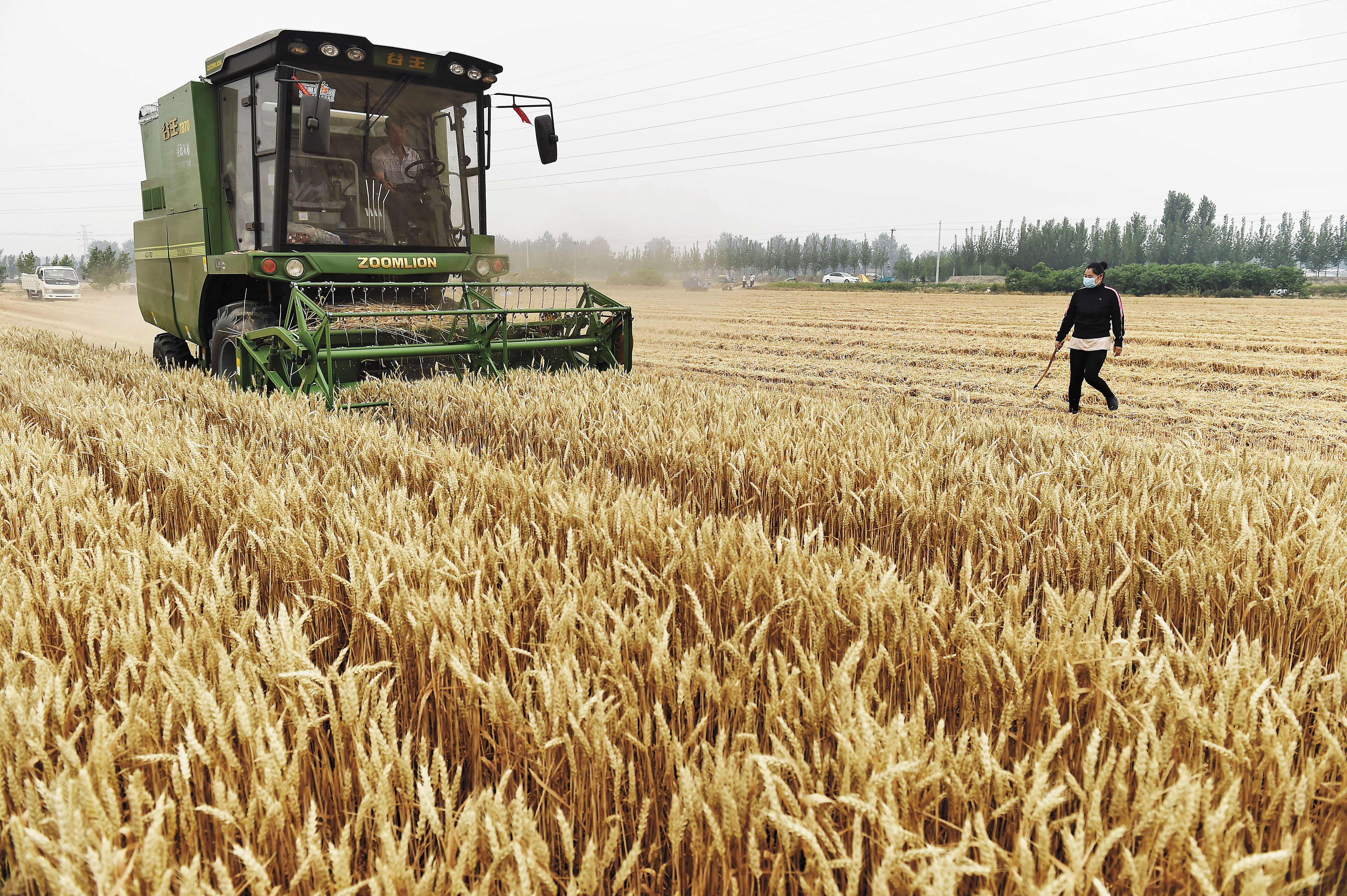 6月全球食品價格指數年增率為7%,指數更是創近2年高點。糧價上漲,可能令全球下半年通膨跟著增溫。(東方IC)