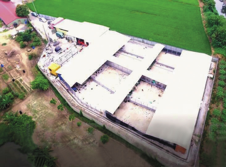 姜媽媽向吳姓地主承租土地，興建違建工寮收容犬隻。(翻攝自姜媽媽狗園臉書)