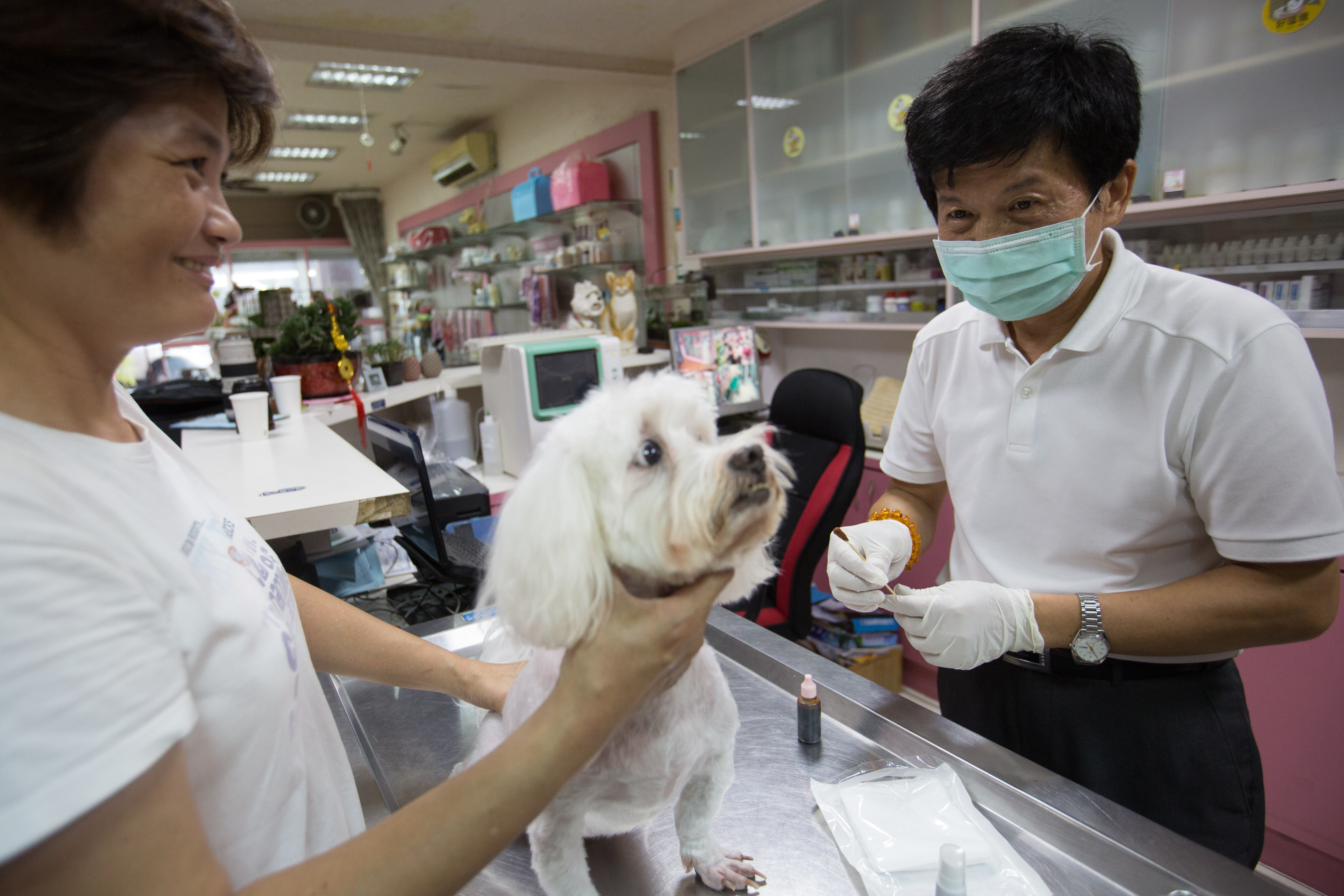 南部多家動物醫院遭姜媽媽惡意積欠醫藥費，而將她列為「黑名單」。