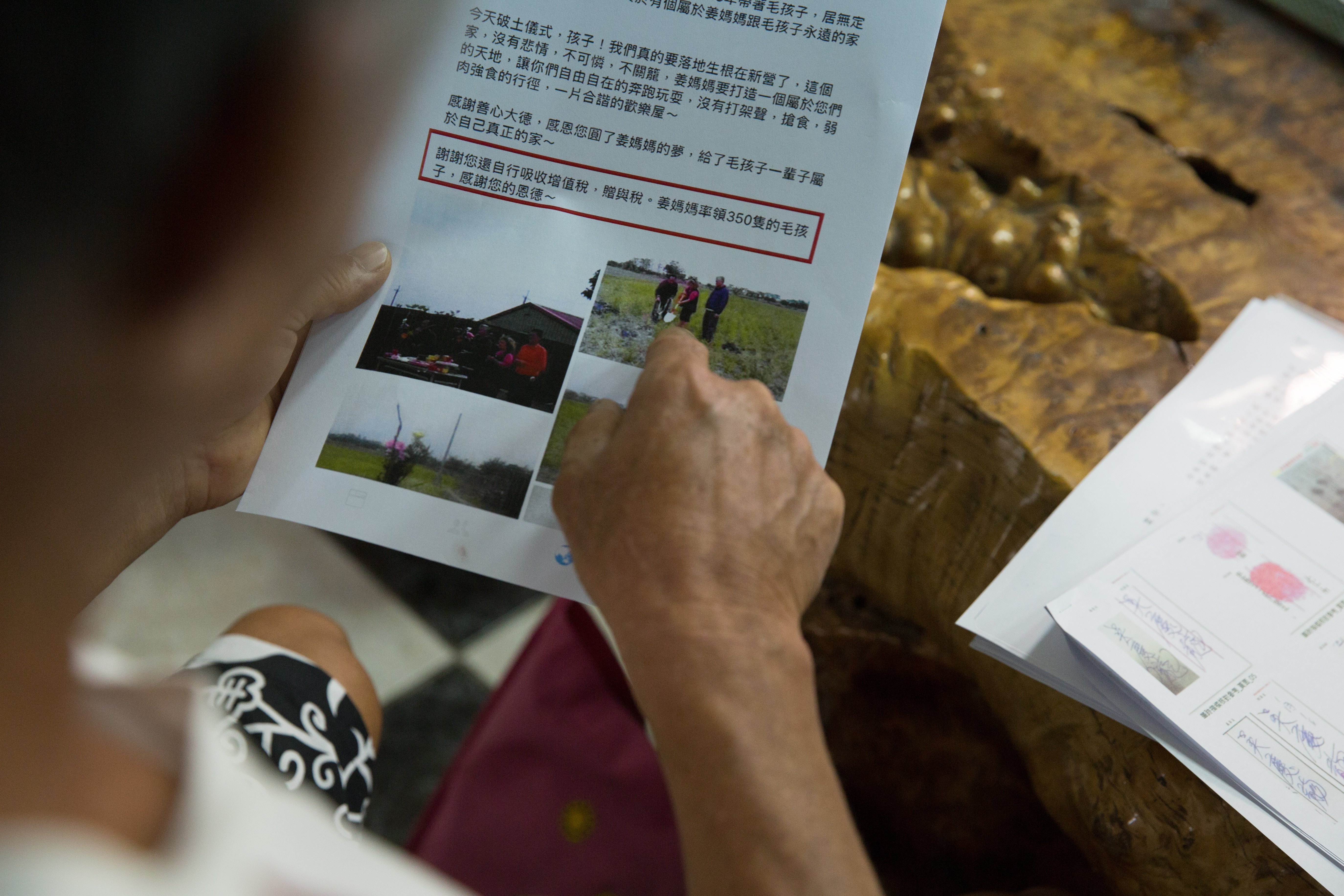 姜媽媽疑不滿法院上門強致執行，開直播指獸醫「醫死狗、沒醫德」，讓醫院商譽嚴重受損。