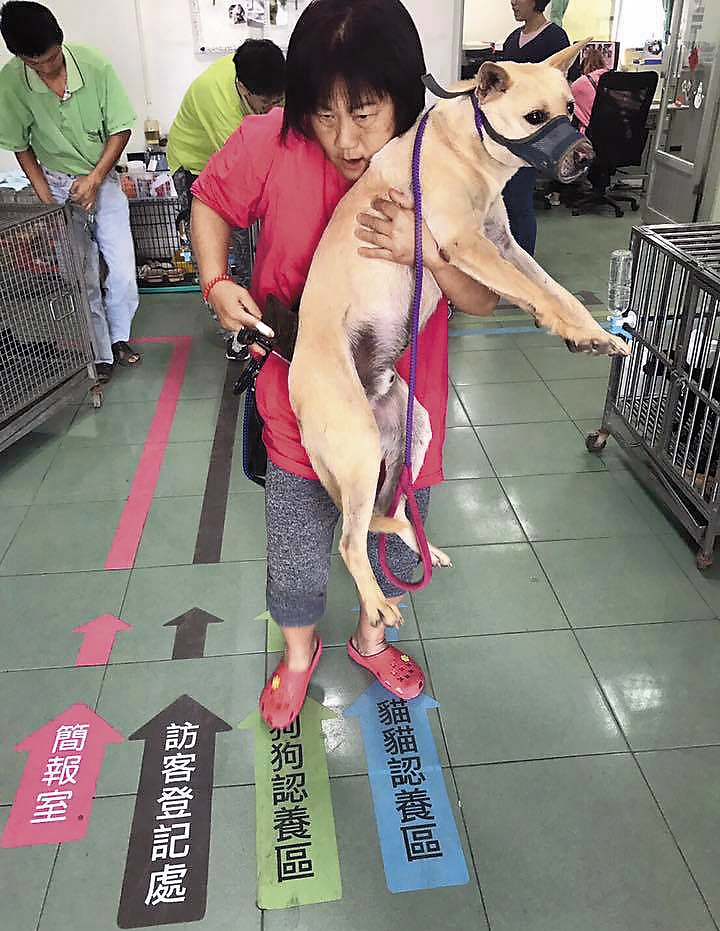 姜媽媽聲稱自己照料近700多隻流浪犬隻，急需外界援助。（翻攝臉書）
