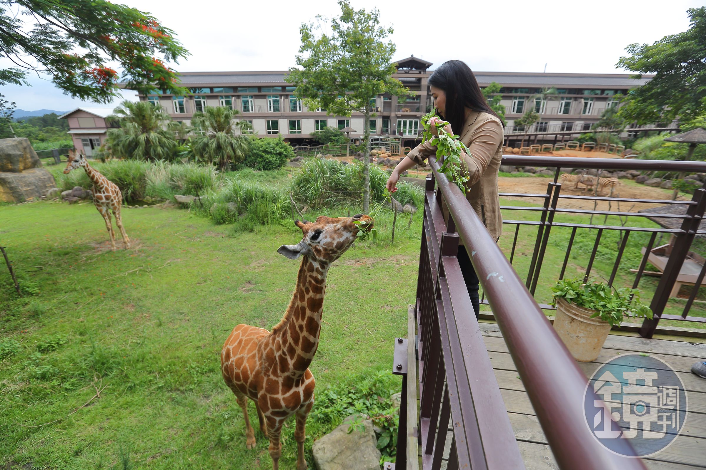 關西六福莊是亞洲第一個生態度假飯店，主打與動物零距離接觸，開幕六年就回收。