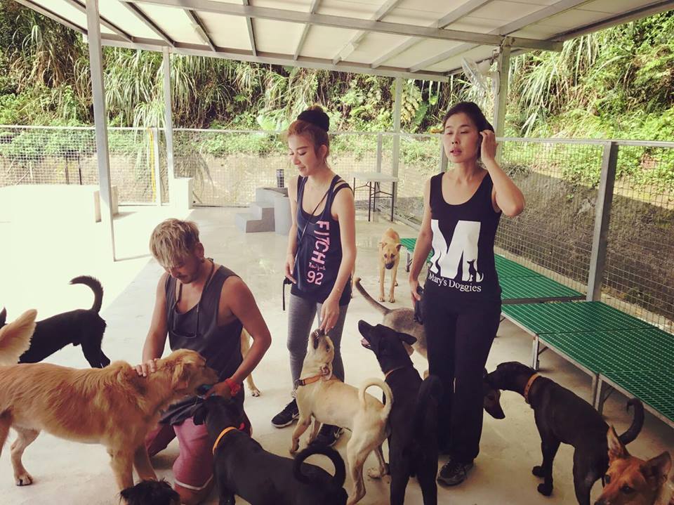 許維恩與KID公開戀情後，在公在私也愛相隨。