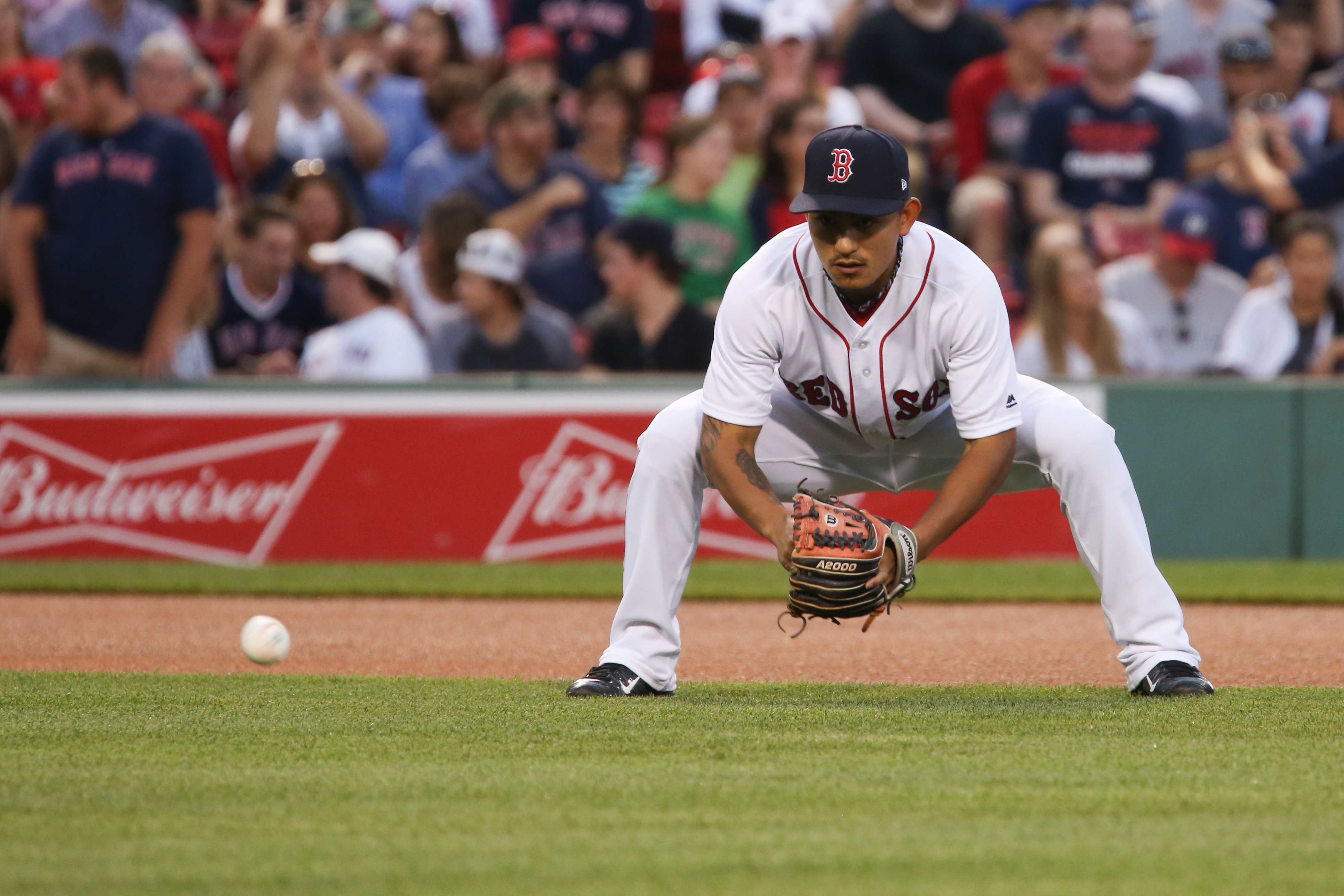 23天的驚喜之旅，林子偉的表現讓台灣球迷眼睛一亮。