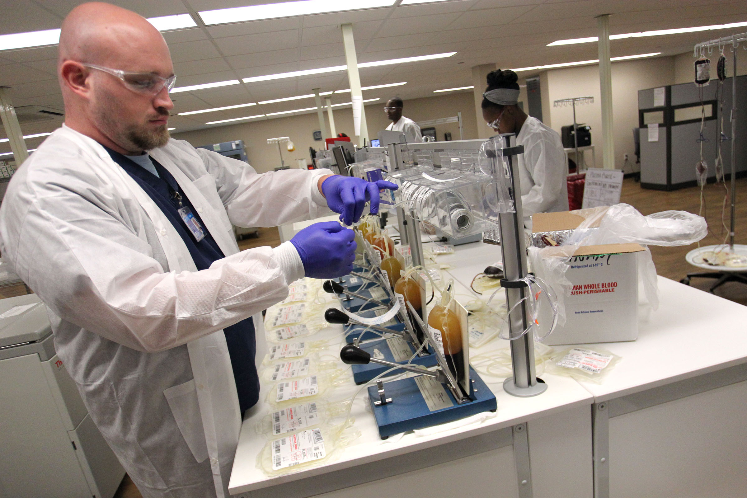 年輕的血液原來是青春之泉？老鼠實驗顯示，年輕老鼠的血液有助於年邁老鼠修復肌肉，增強記憶。但可以套用在人身上嗎？（東方IC）