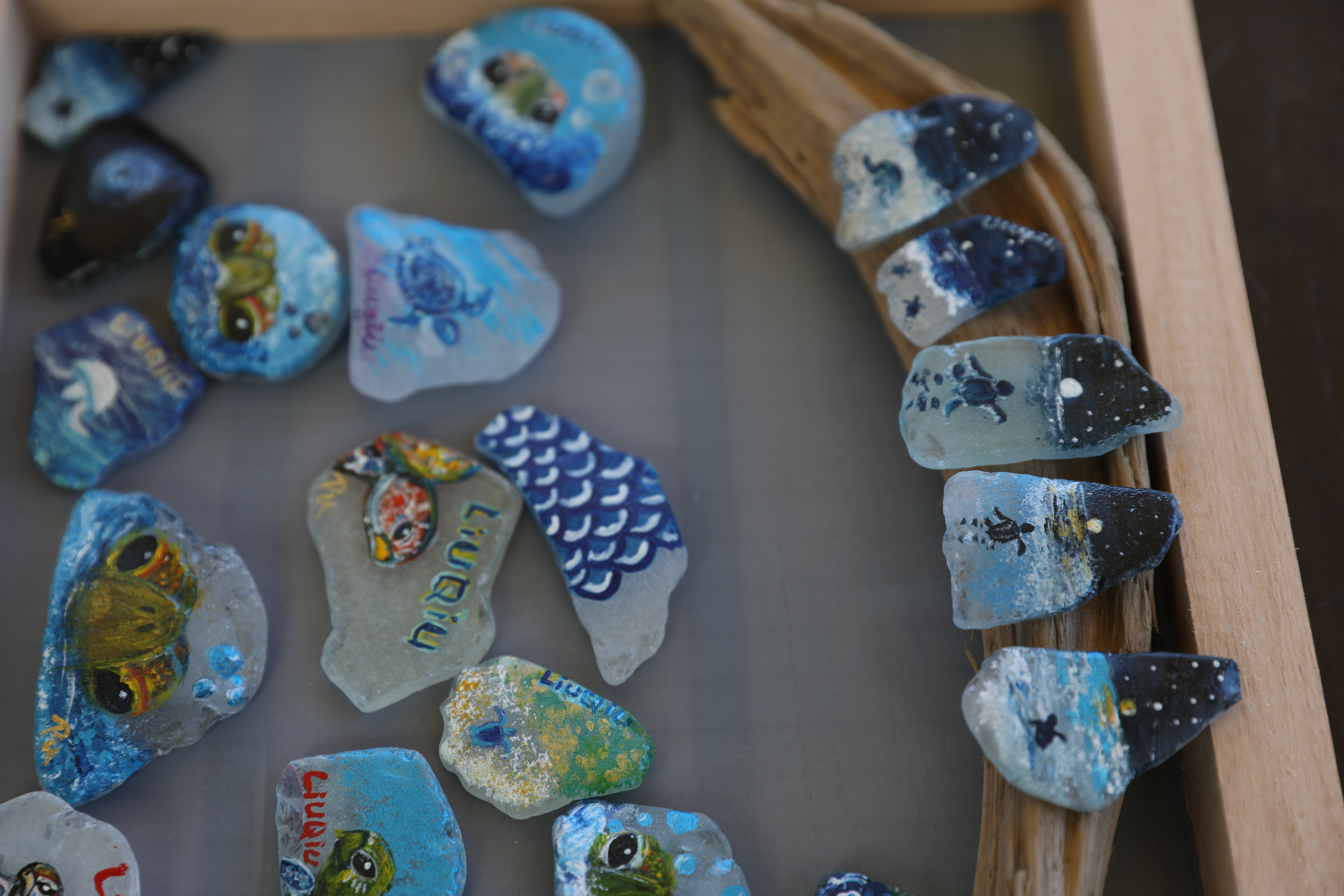 右邊的海灘貨幣畫的是海龜誕生的系列彩繪，讓人忍不住想蒐藏。