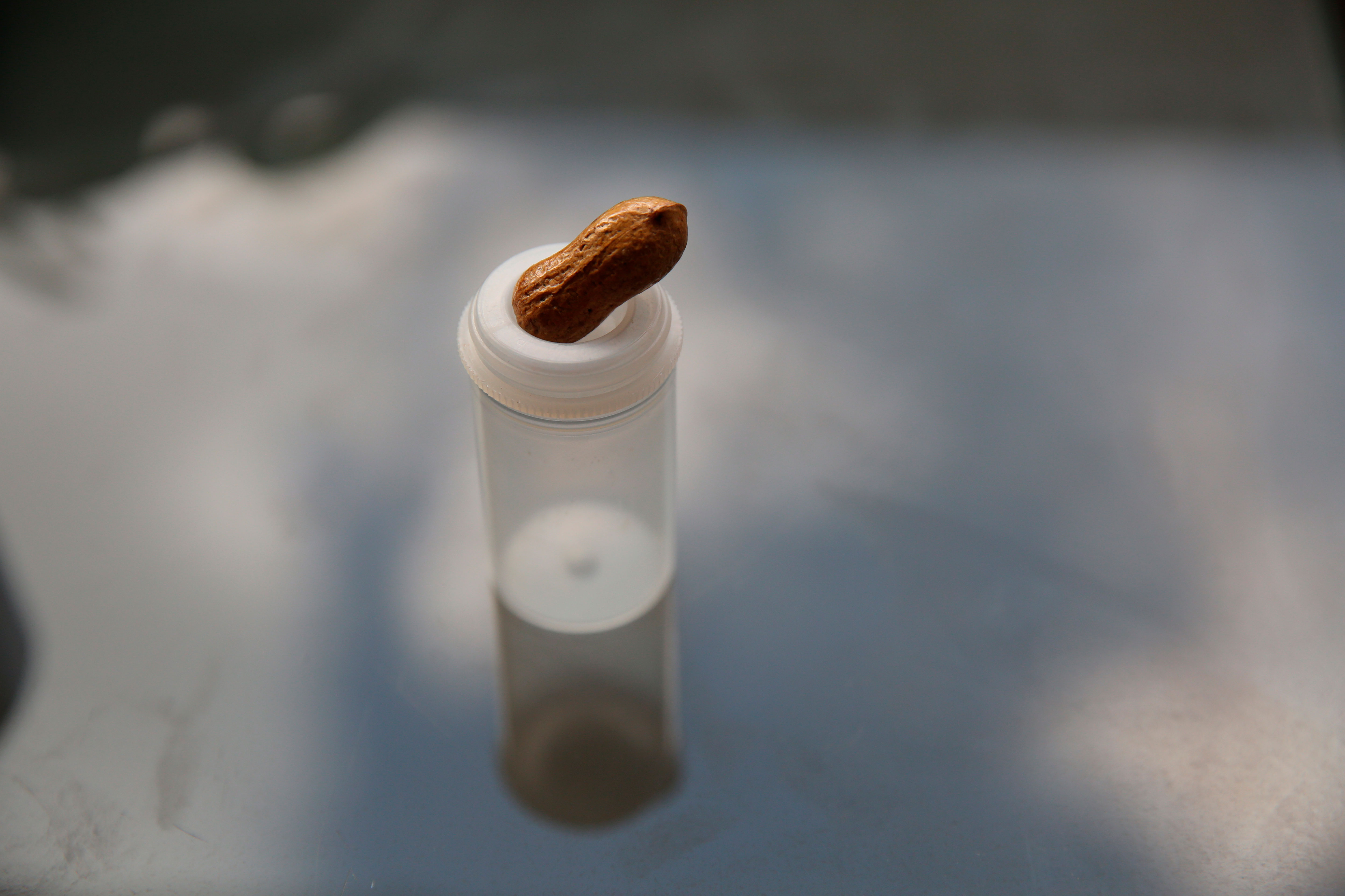搖一搖會有聲音的花生殼是燕子的寶貝，那是先生送給她的相識週年禮物，至今她仍未打開花生殼，謹慎地收在底片盒裡。