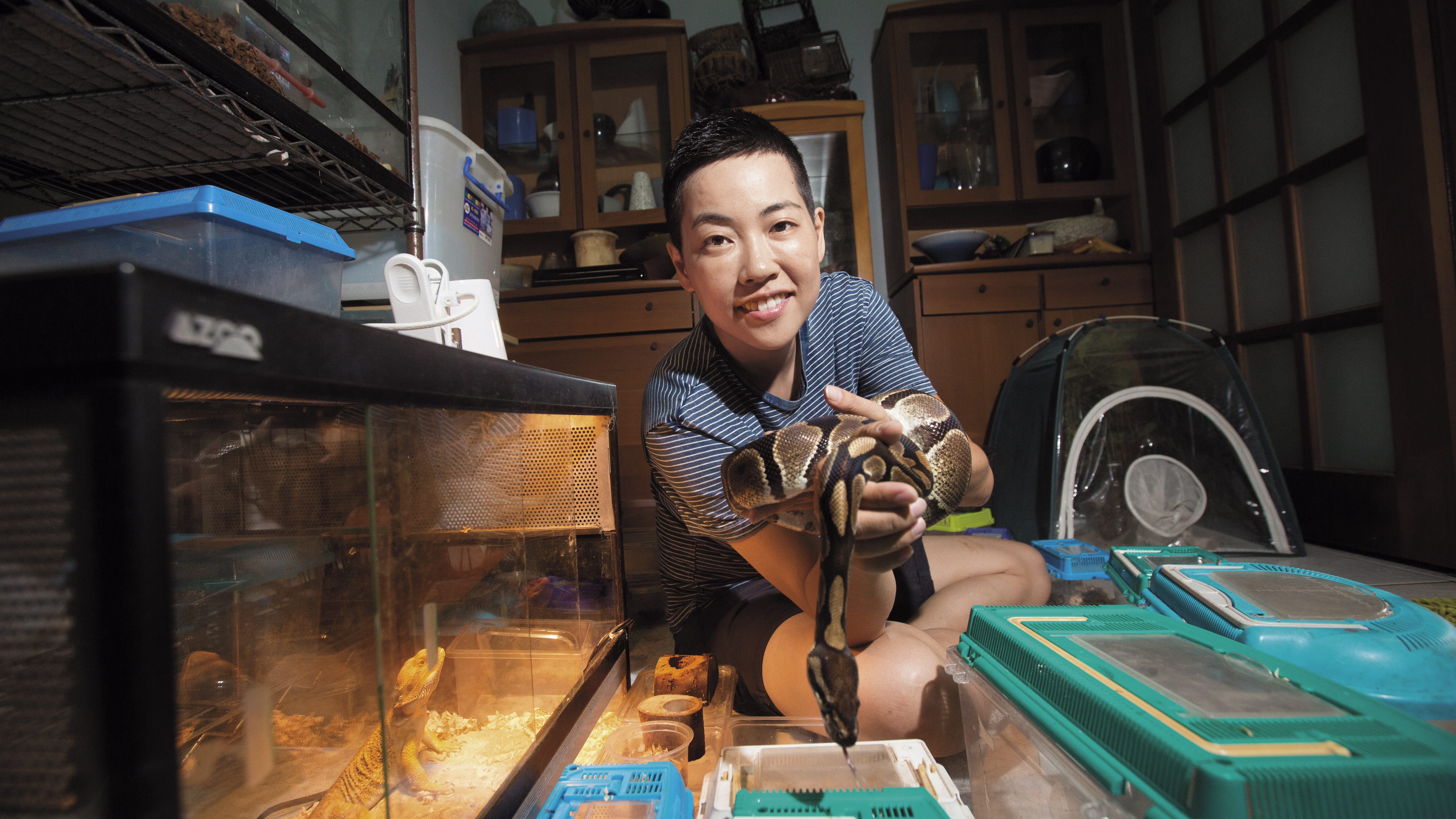 在飼養昆蟲的房間中，吳沁婕捧起溫馴的球蟒蛇，球蟒蛇名叫球球二代，另有鬃獅蜥名叫辛巴二代。為什麼是二代？她語氣哀傷地說：「今年初球球生病，辛巴壽終正寢，我一次失去了2位老朋友。」
