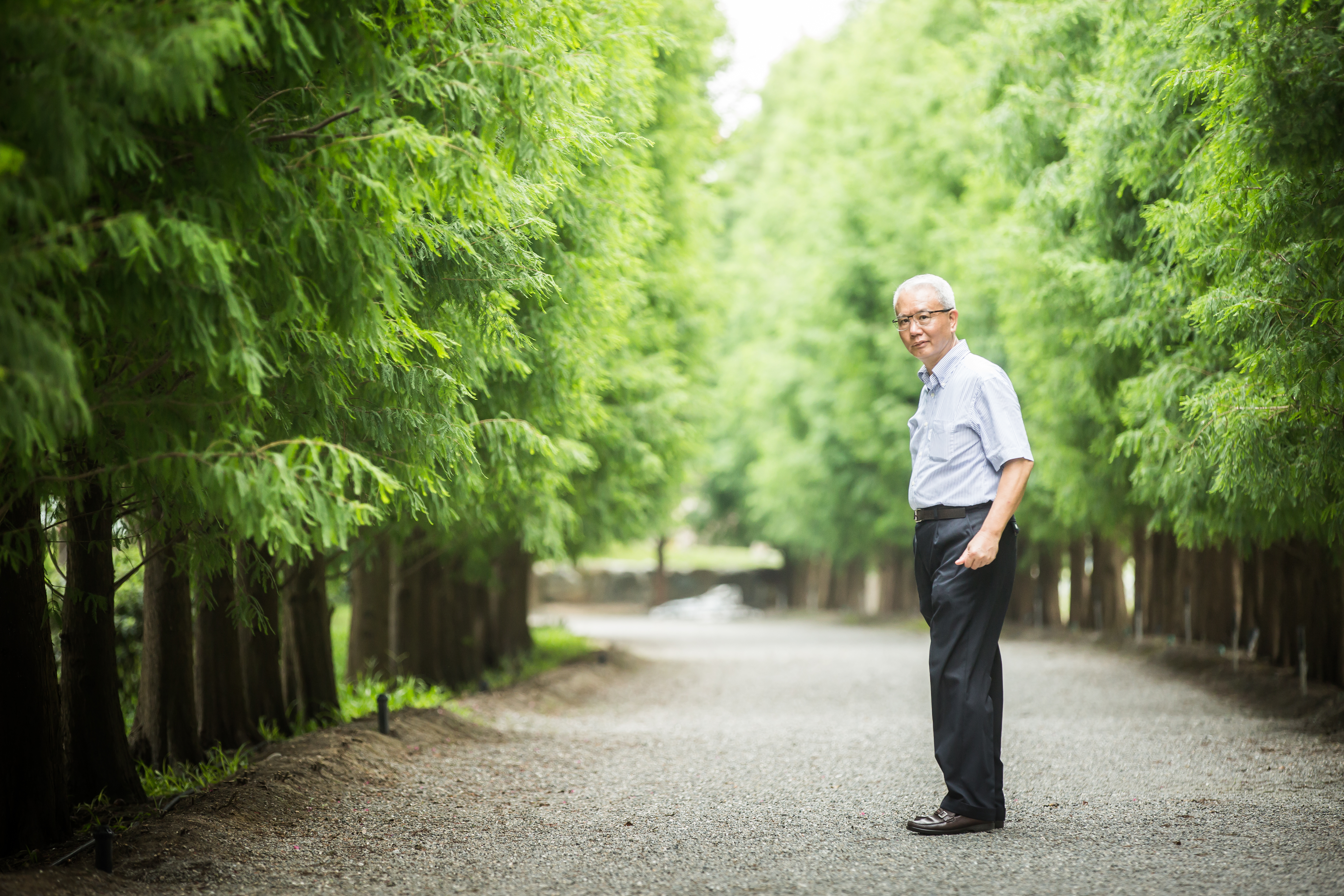 在魏應充身後的落羽松步道，被他稱為「歸鄉步道」。
