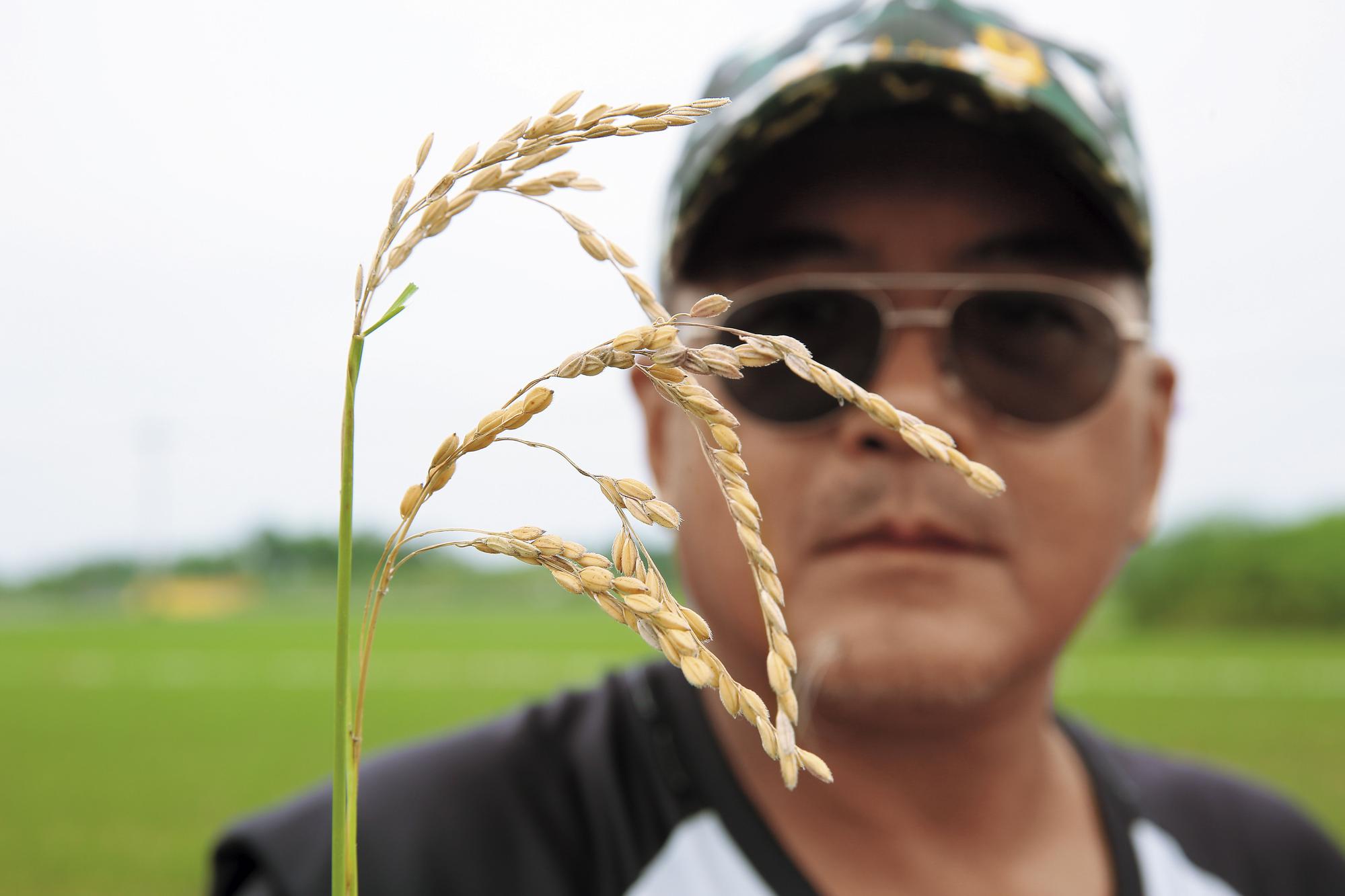 底渣堆置嚴重影響當地民眾生計，農民控訴底渣毒性讓辛苦維持的無毒田染毒。