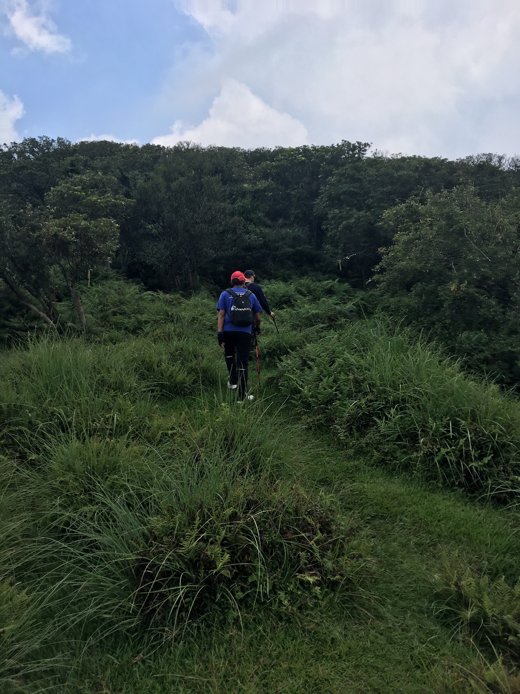 消防隊今日上午前往陽明山進行搜救行動，下午才接獲當事人來電，表示昨日就已順利下山。
