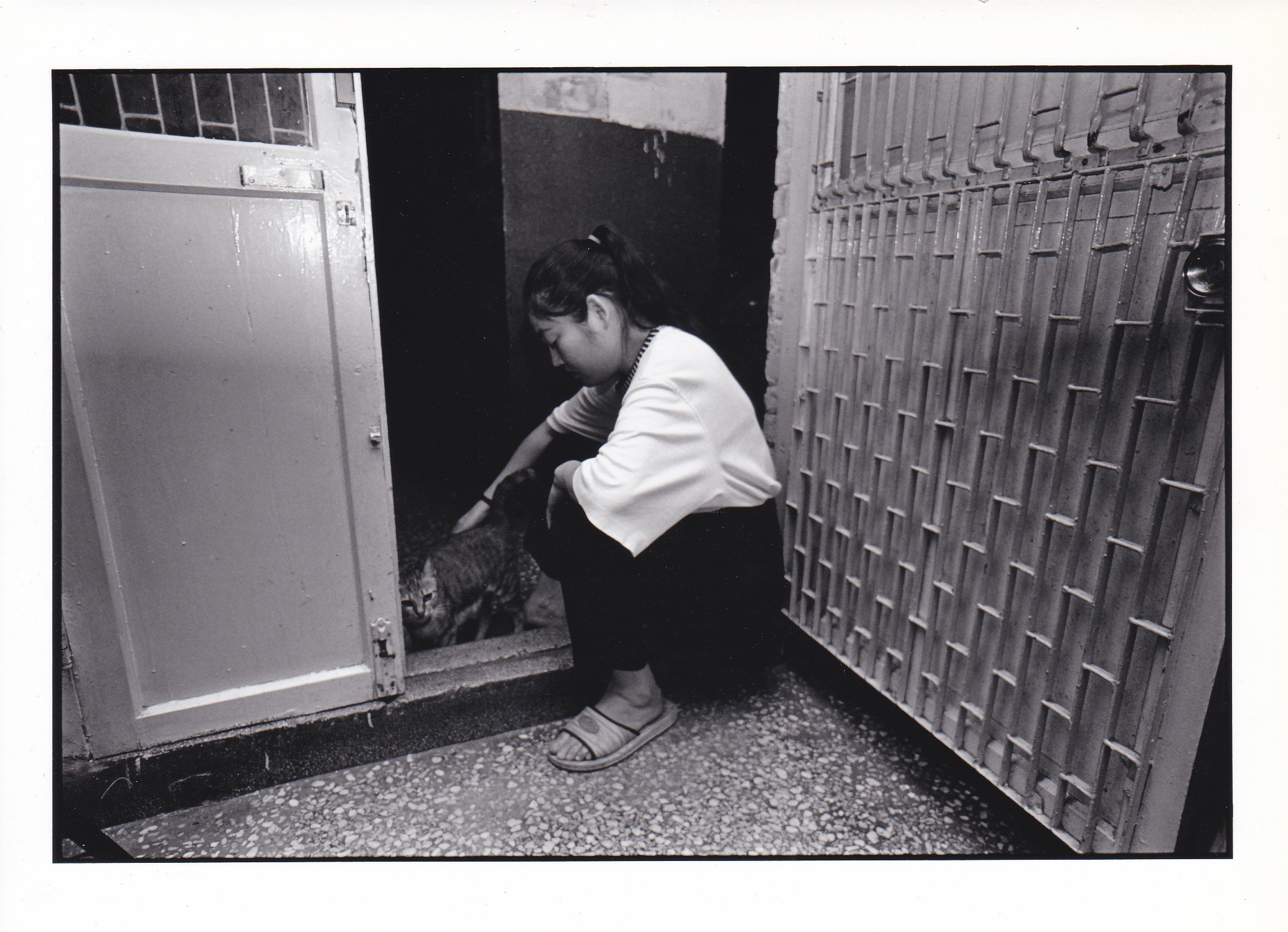 白蘭與她的愛貓老查某，攝於文萌樓。(日日春關懷協會提供 / 攝影：林柏樑)