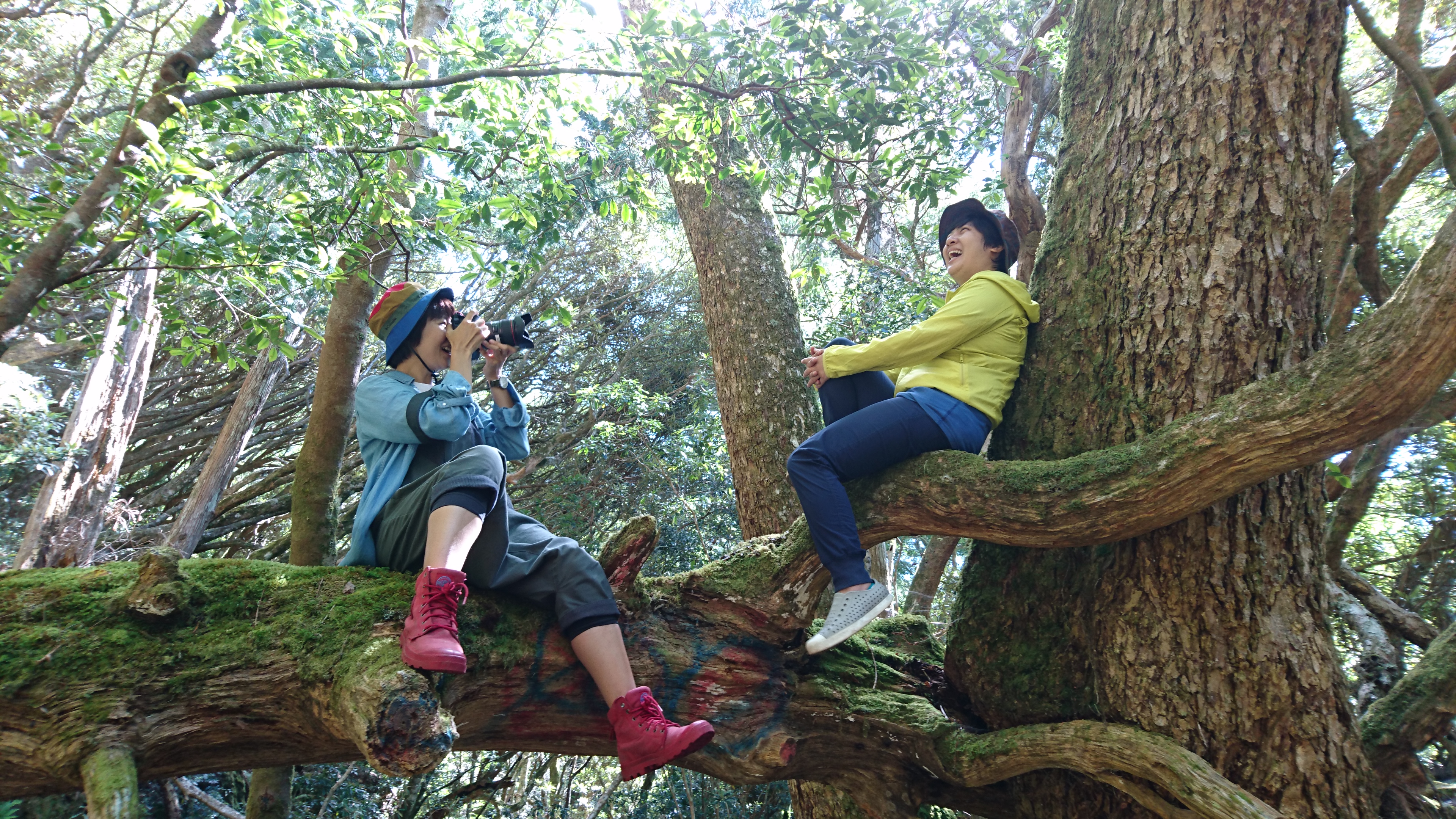 塔曼山雖歸屬於中級山，但路徑簡單易走，很適合女生與新手。