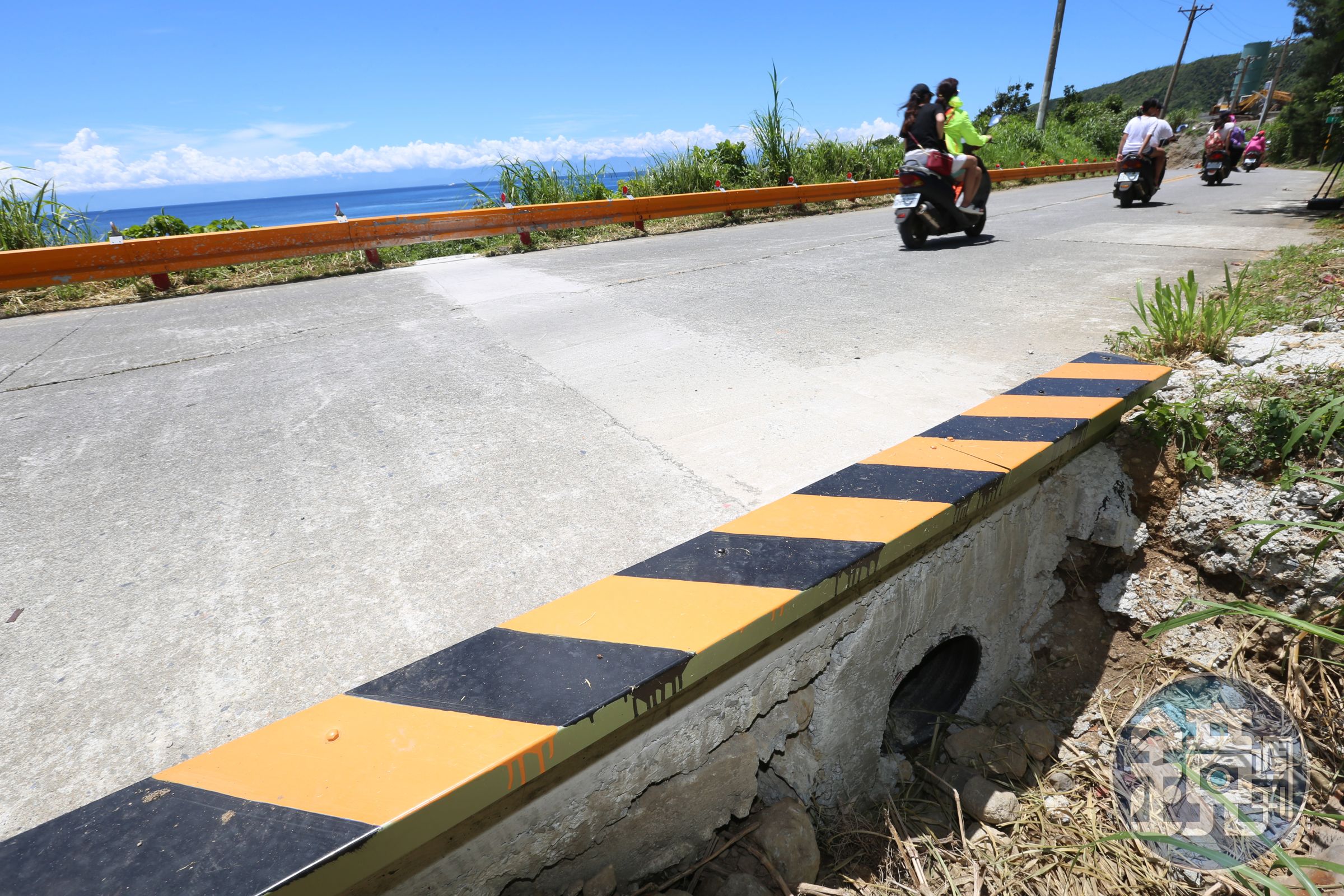 護蟹廊道懸空地面數公尺，倘若陸蟹行走，恐將面臨摔死命運。