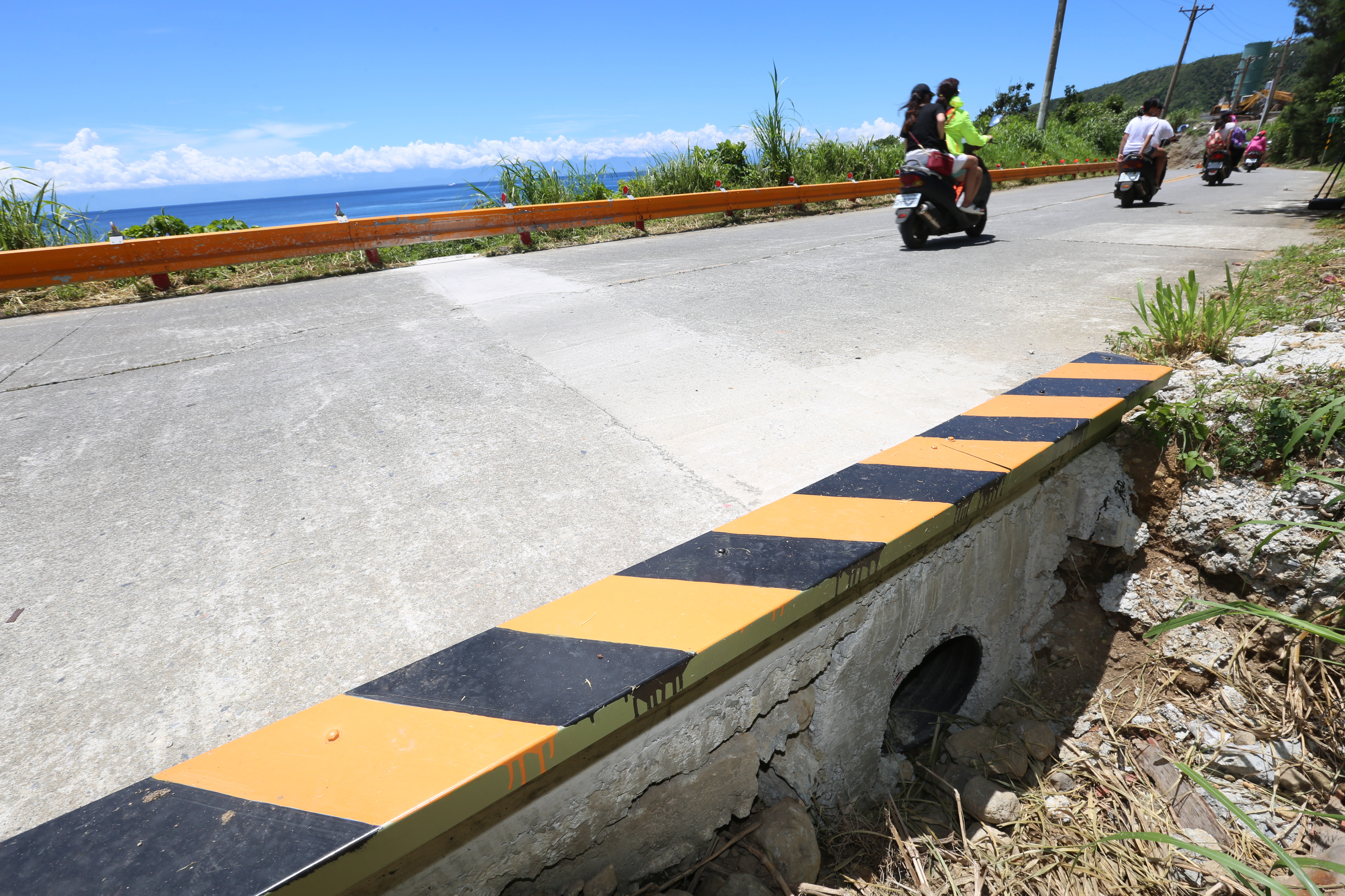 護蟹廊道懸空地面數公尺，倘若陸蟹行走，恐將面臨摔死命運。
