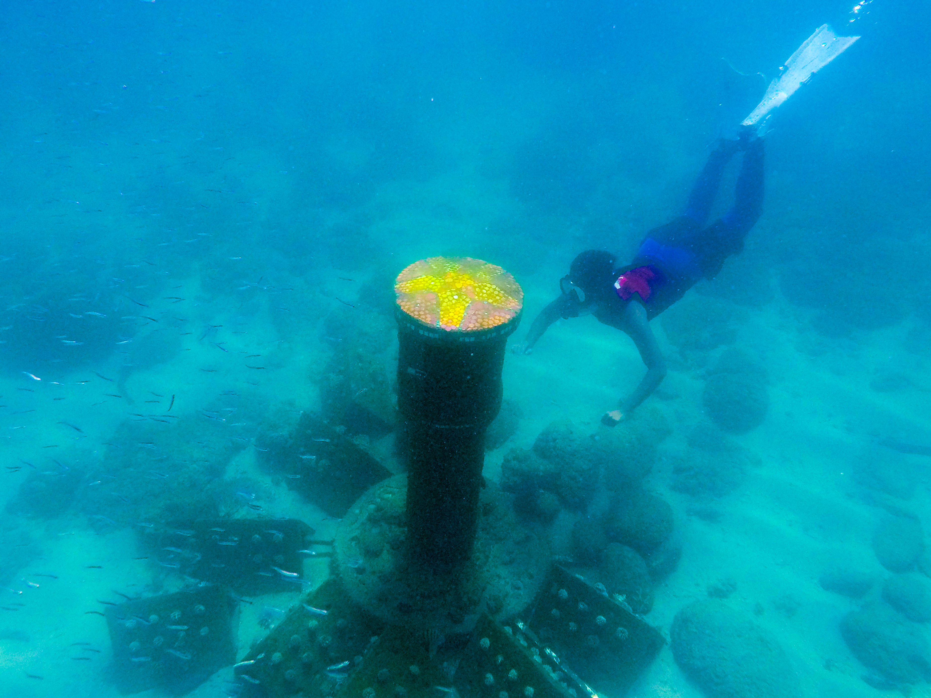 全台唯一個海底郵筒，兼具水下裝置藝術以及藝術人工魚礁的功能。