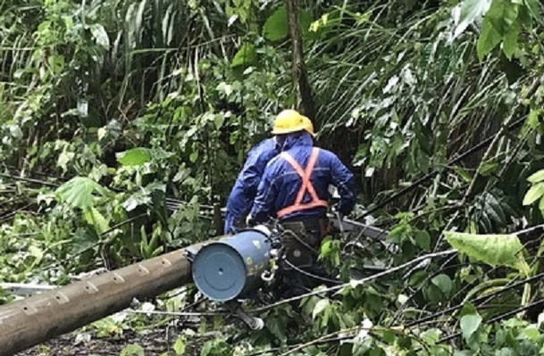 強風吹斷大樹，糾纏的電纜線，強力扳斷兩2電桿。