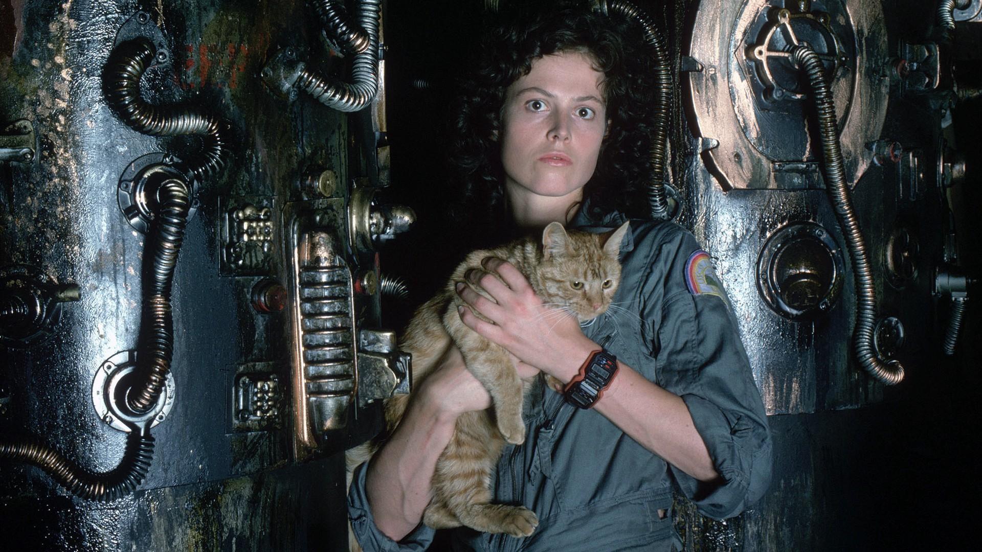《先讓英雄救貓咪》（Save the Cat！） 書名靈感來自導演雷利史考特（Ridley Scott）的電影 《異形》。（圖翻攝自網路）