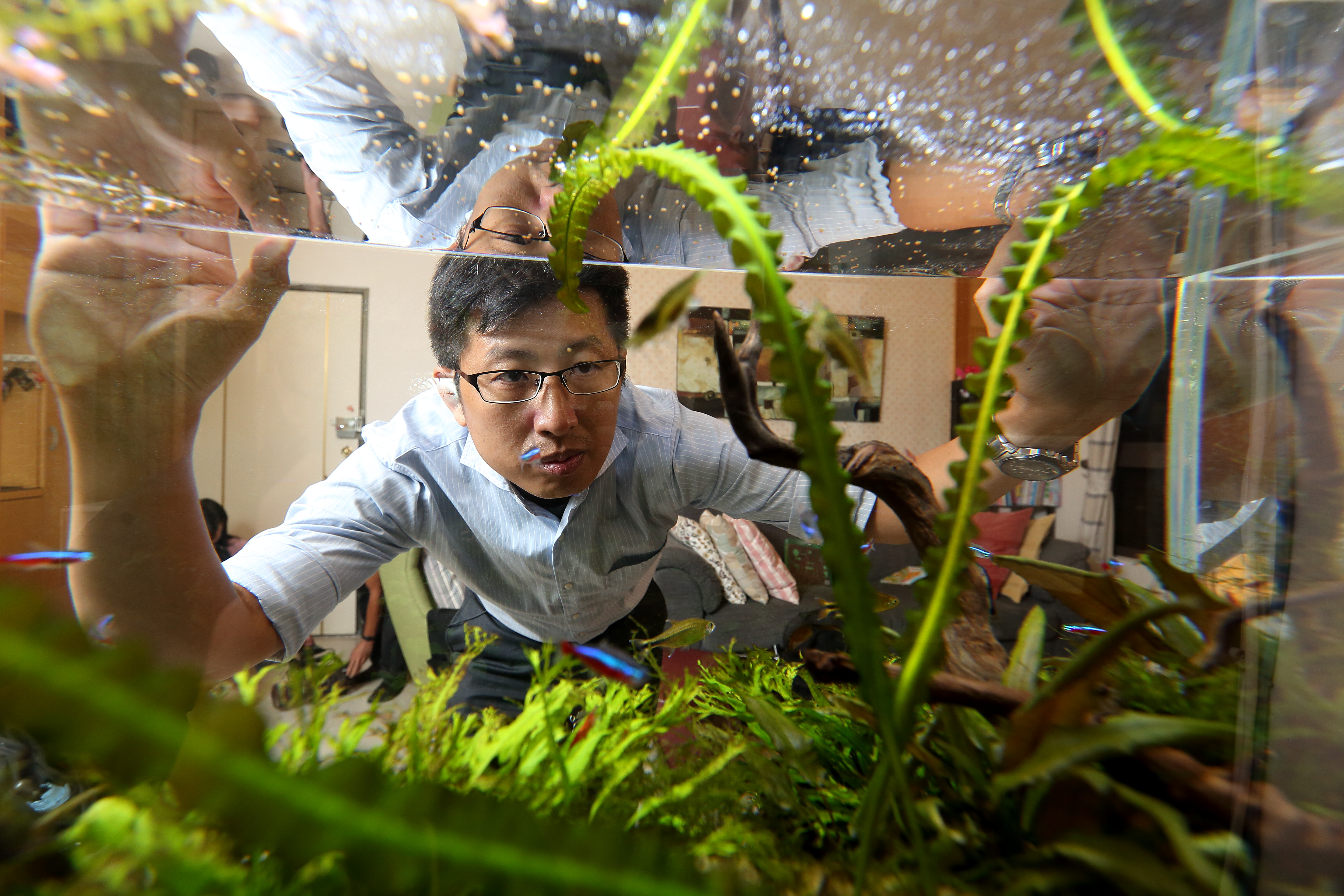 看著悠遊自在的小魚，股魚投資不盯盤，輕鬆、簡單一樣賺。