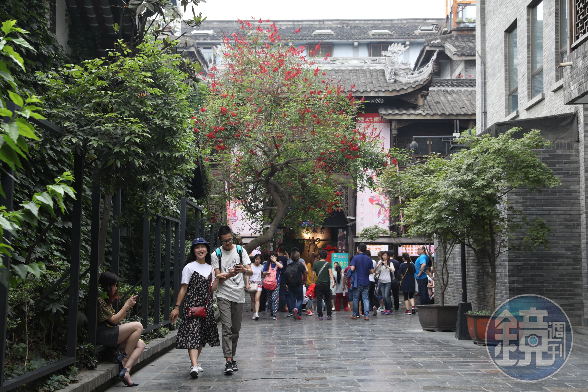 成都多次蟬聯中國宜居城市第一名，城市新舊文化兼容並蓄，綠化充足。但，這是別人看見的成都。