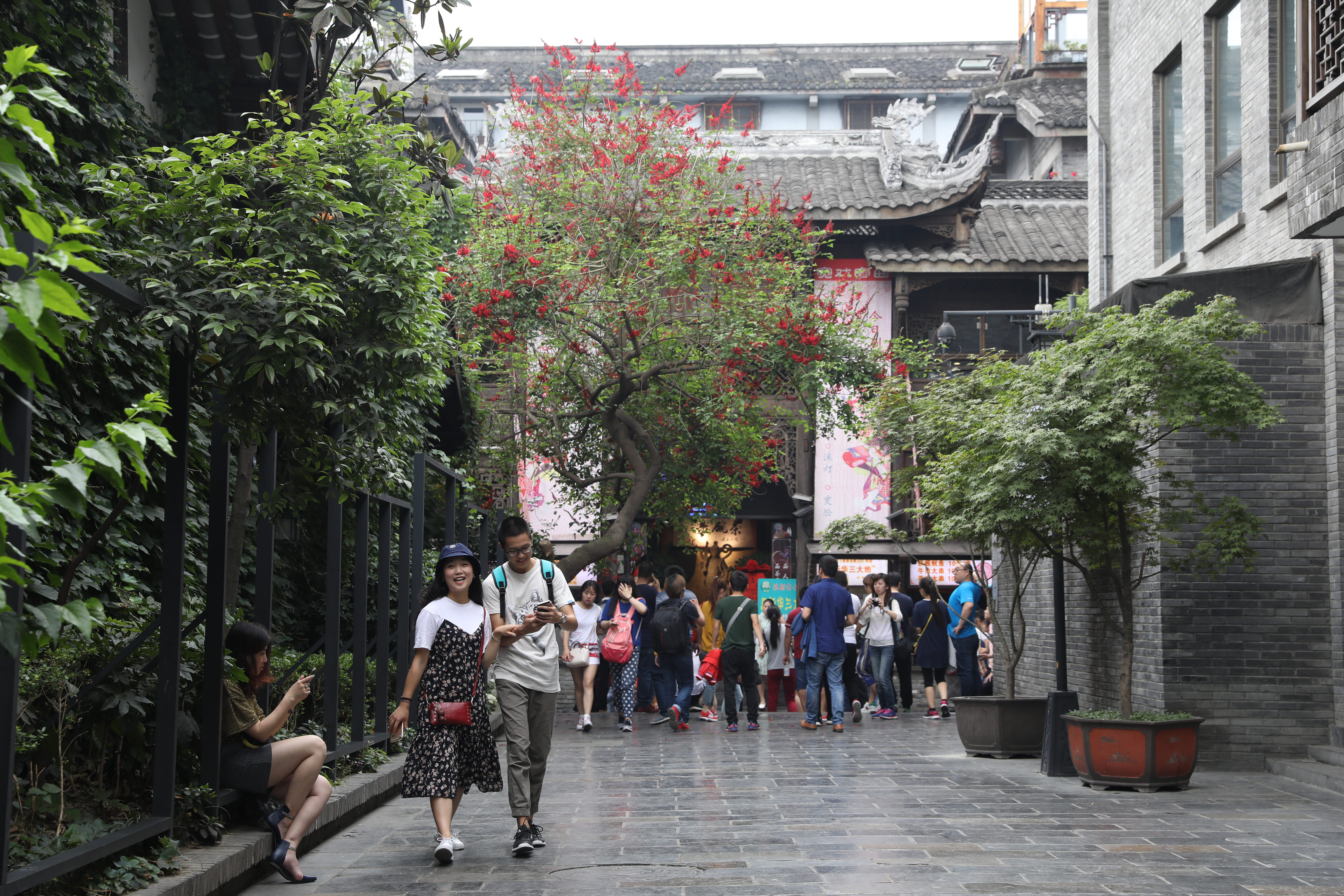 成都多次蟬聯中國宜居城市第一名，城市新舊文化兼容並蓄，綠化充足。但，這是別人看見的成都。