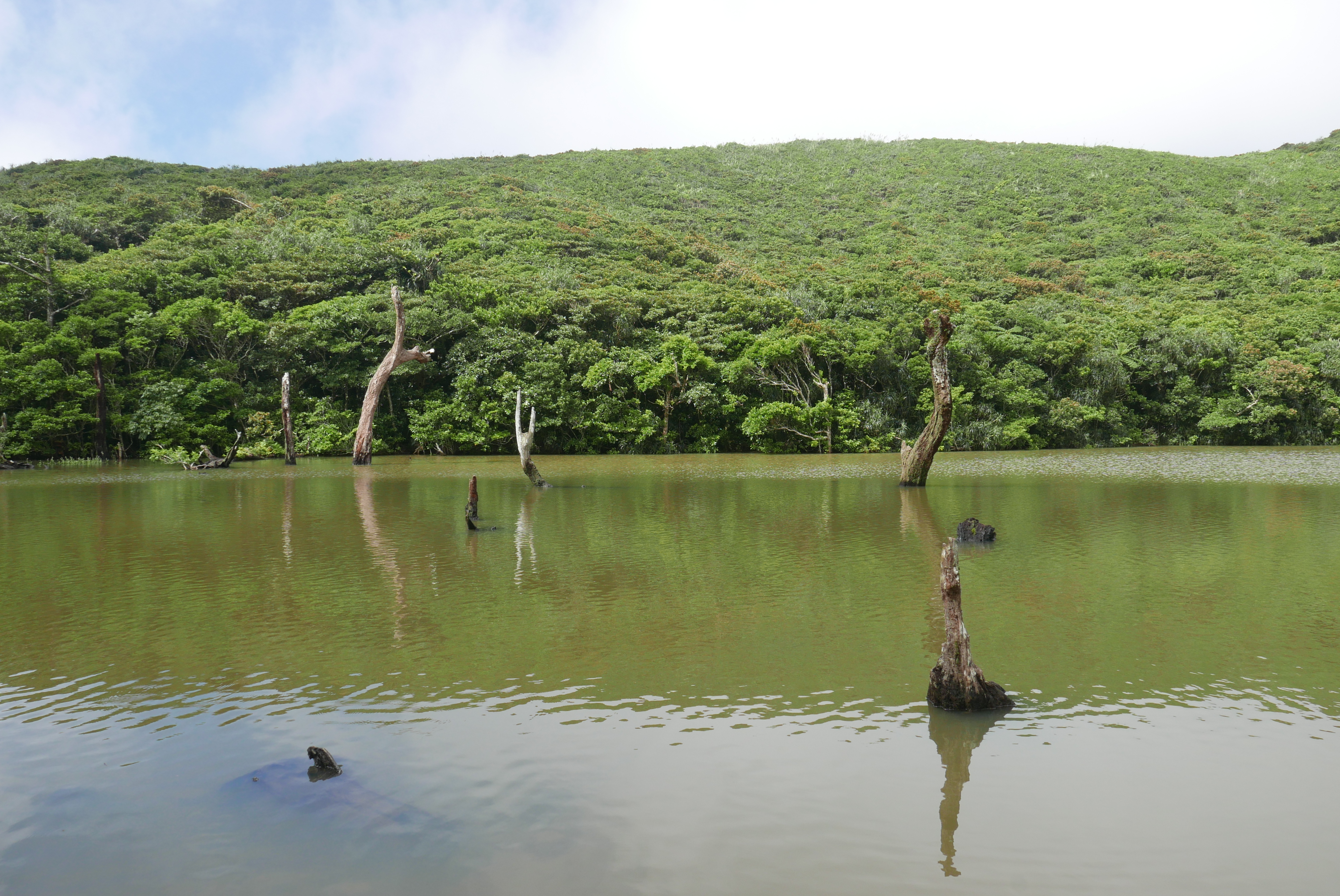被稱為高山之海的大天池，有著獨特魅力。
