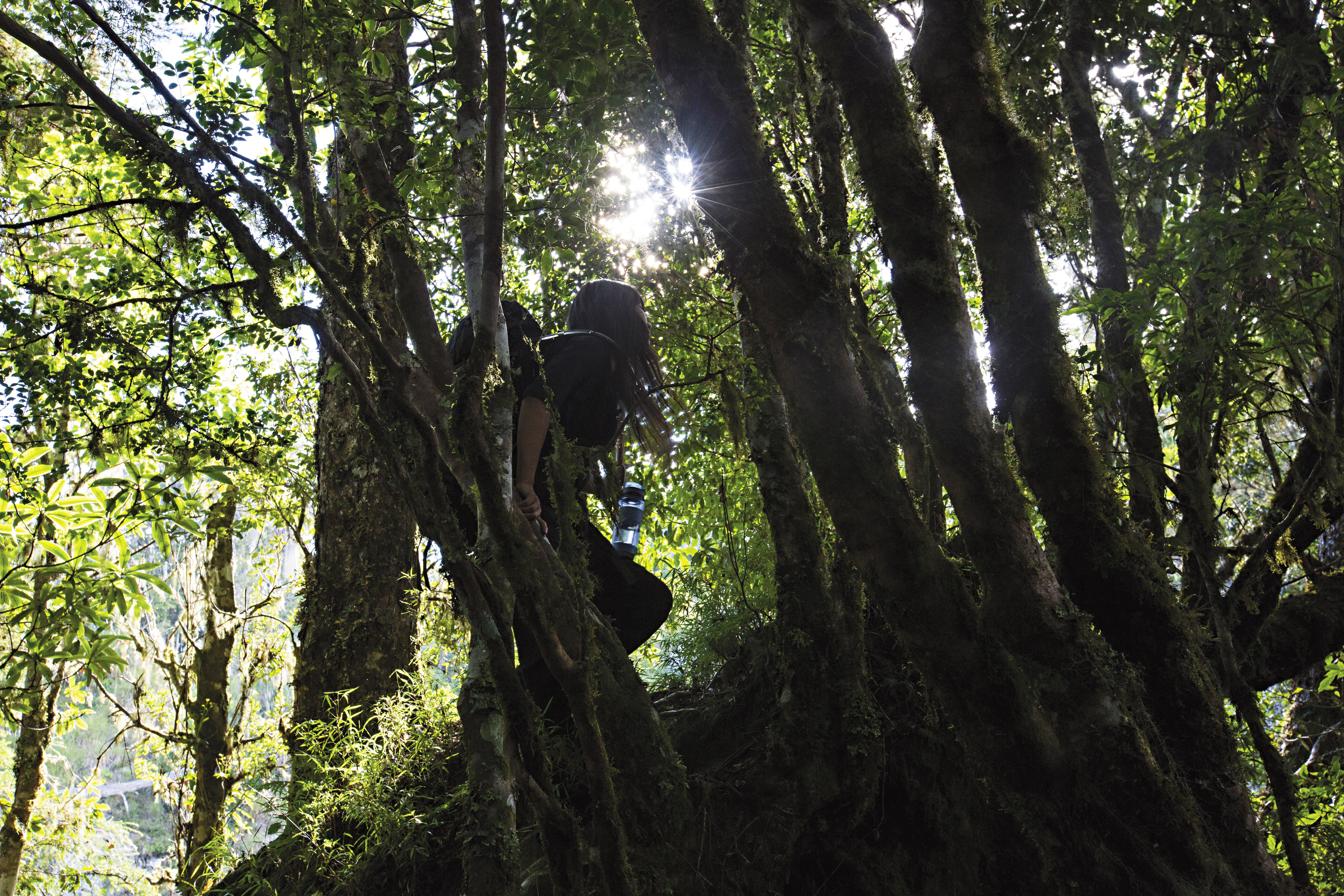 她現在不叫白凜，名為「雪娃」，但依然在山林間穿行，帶我們前往奇萊東稜深處的「百合帝國」。