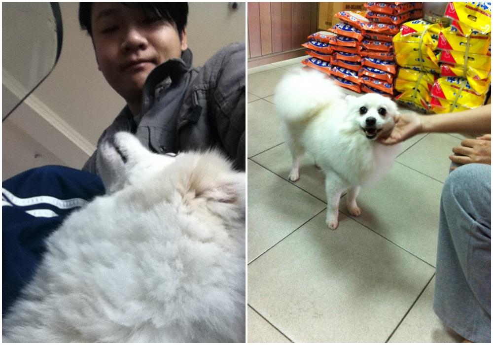 李崗霖透露對鰢吉視如家人,出遠門遊玩都帶他同行,從沒送到寵物旅館過。