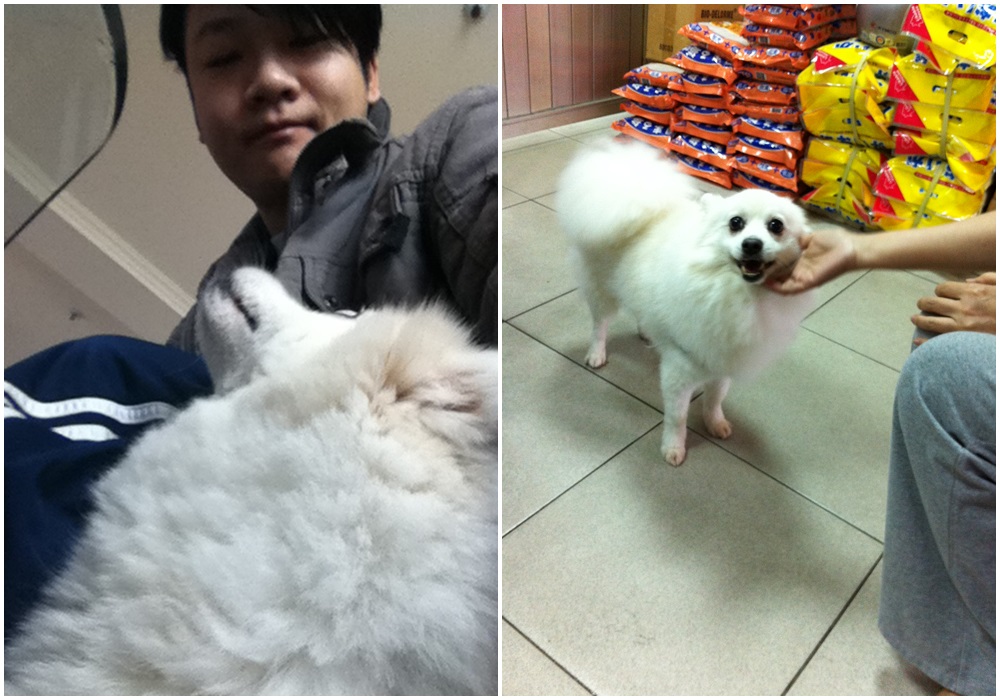 李崗霖透露對鰢吉視如家人，出遠門遊玩都帶他同行，從沒送到寵物旅館過。