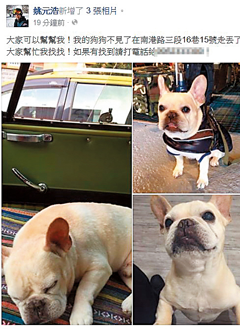 姚元浩曾經弄丟王心凌的狗,也是他們的分手導火線之一。如今姚元浩被批「狗跟照片都保管不好」。(翻攝自姚元浩臉書)