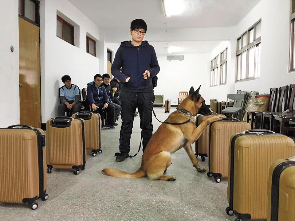 台灣警犬培育面臨缺乏專業訓練人士和經費問題。