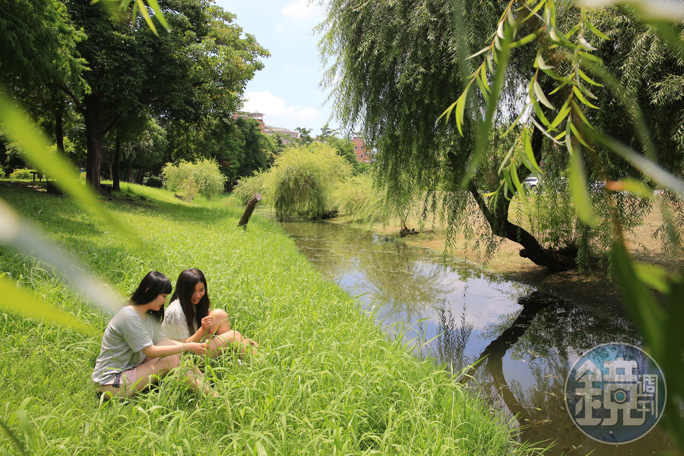 垂柳、水渠、綠地，公園裡到處有閒情角落。