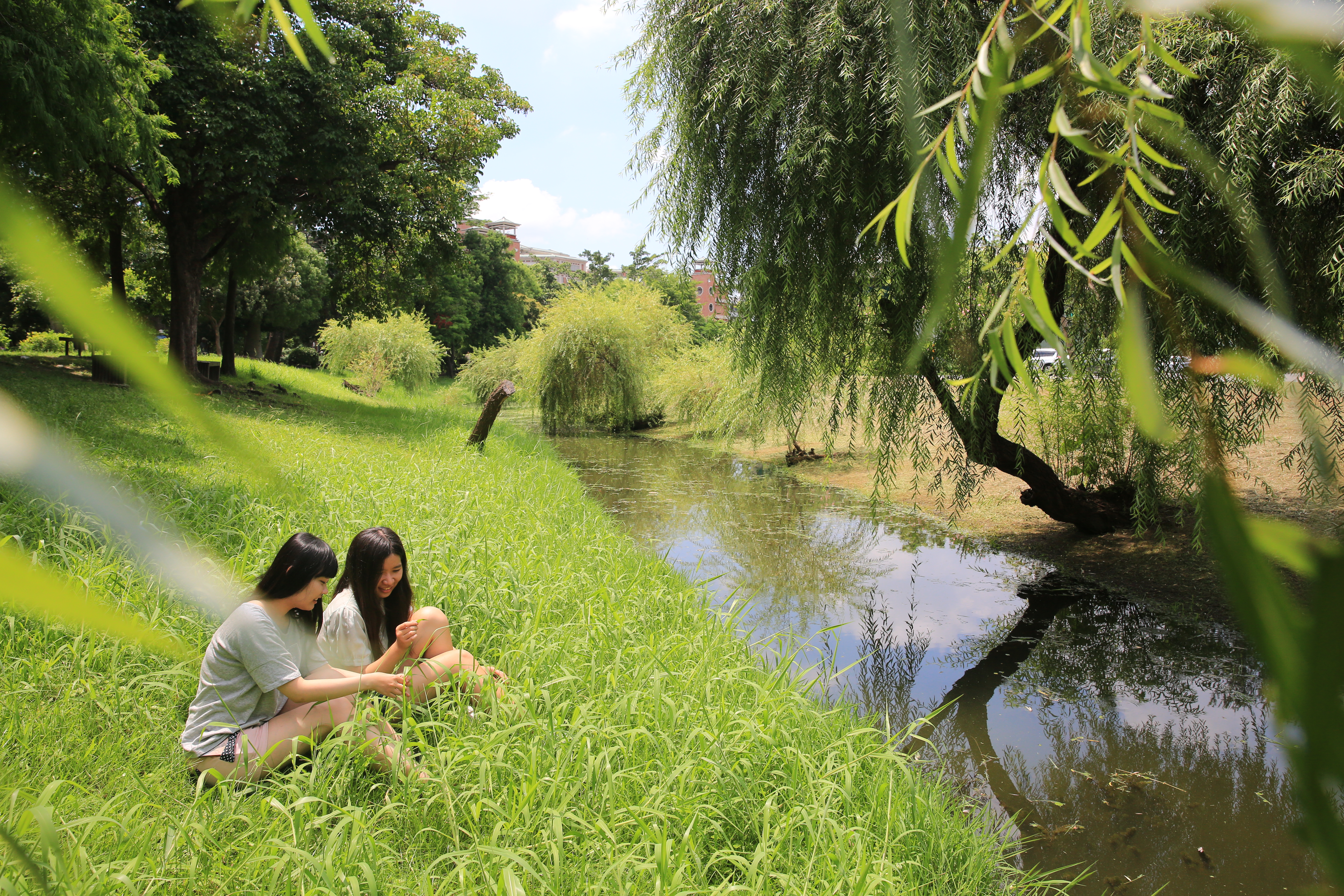 垂柳、水渠、綠地，公園裡到處有閒情角落。
