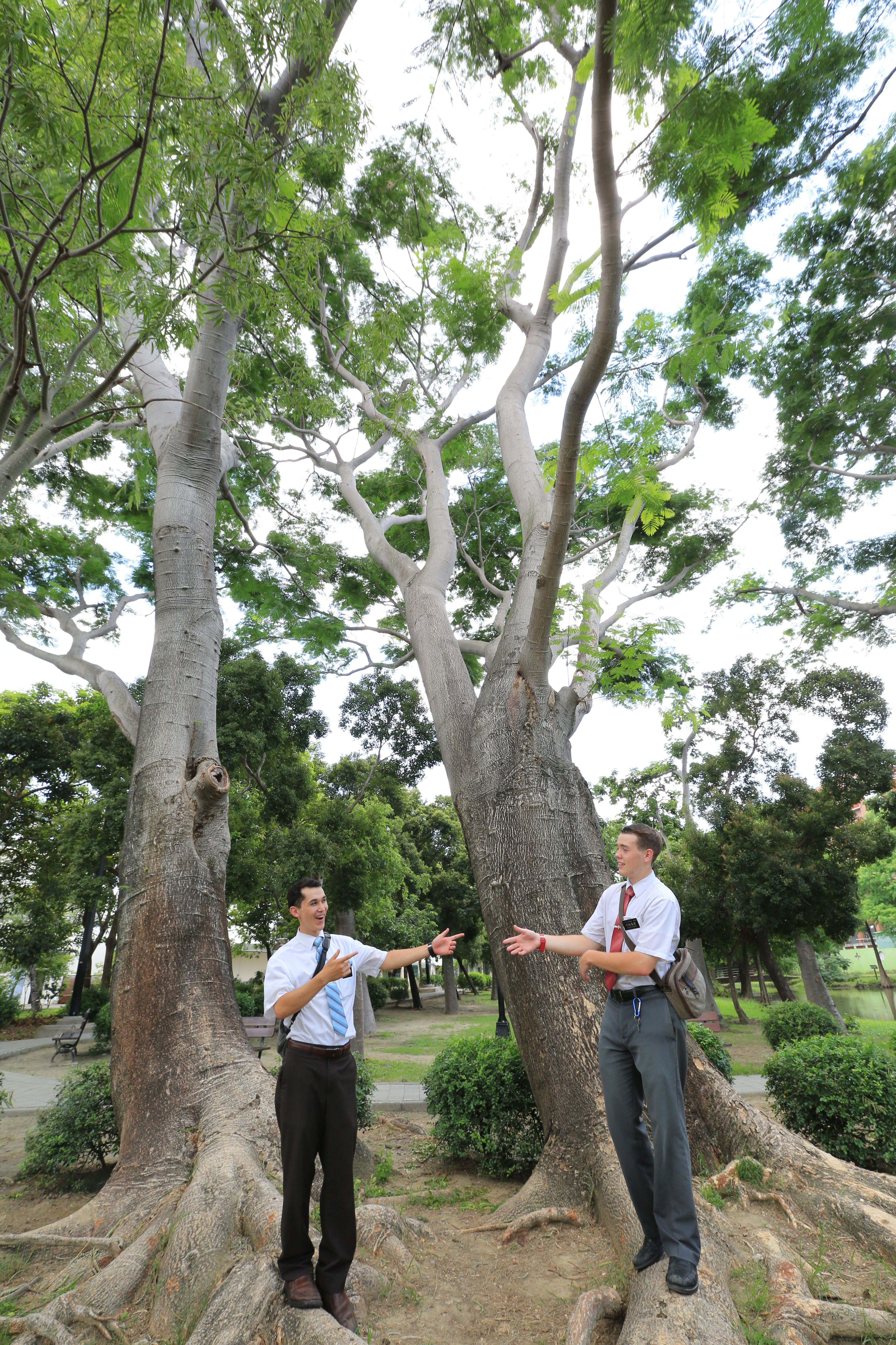 傳教士好奇探訪巴克禮公園。