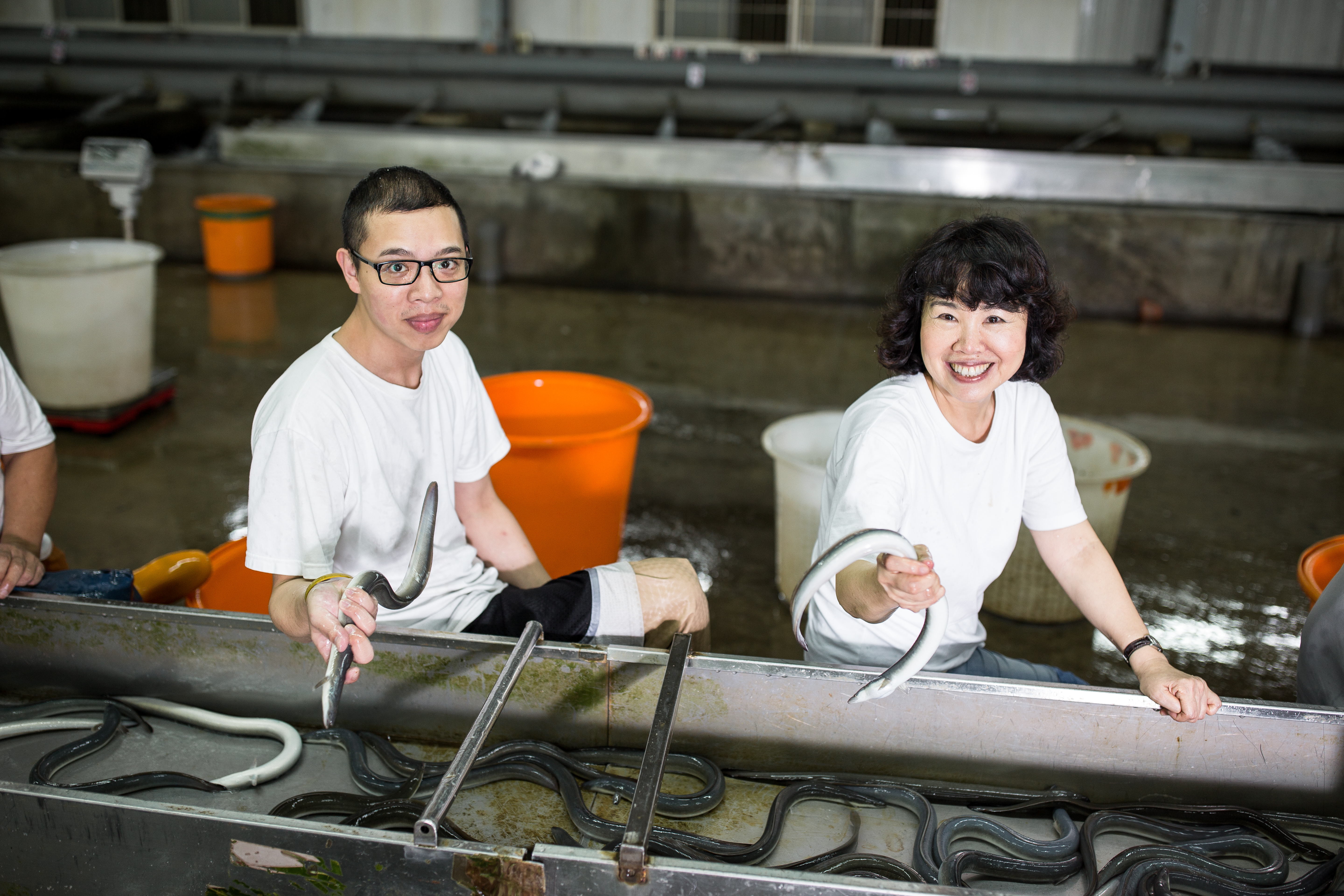 選鰻工必須眼明手快，郭瓊英訓練外甥郭書豪(前1)8年，如今已能獨當一面。