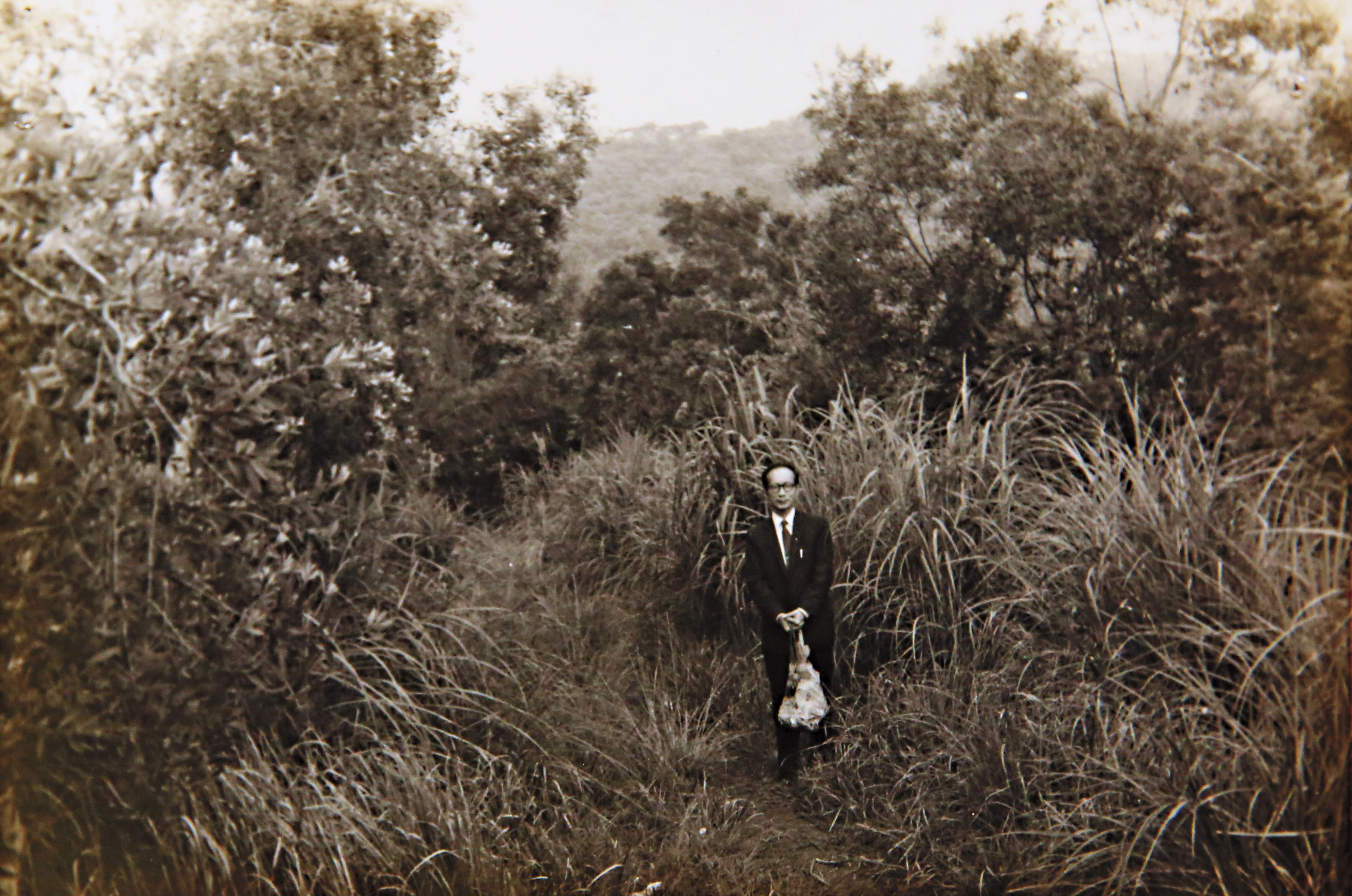 吳家的土地申請假扣押後，柑橘園成了荒草地，吳家人也在現場留影。（吳政雄提供）