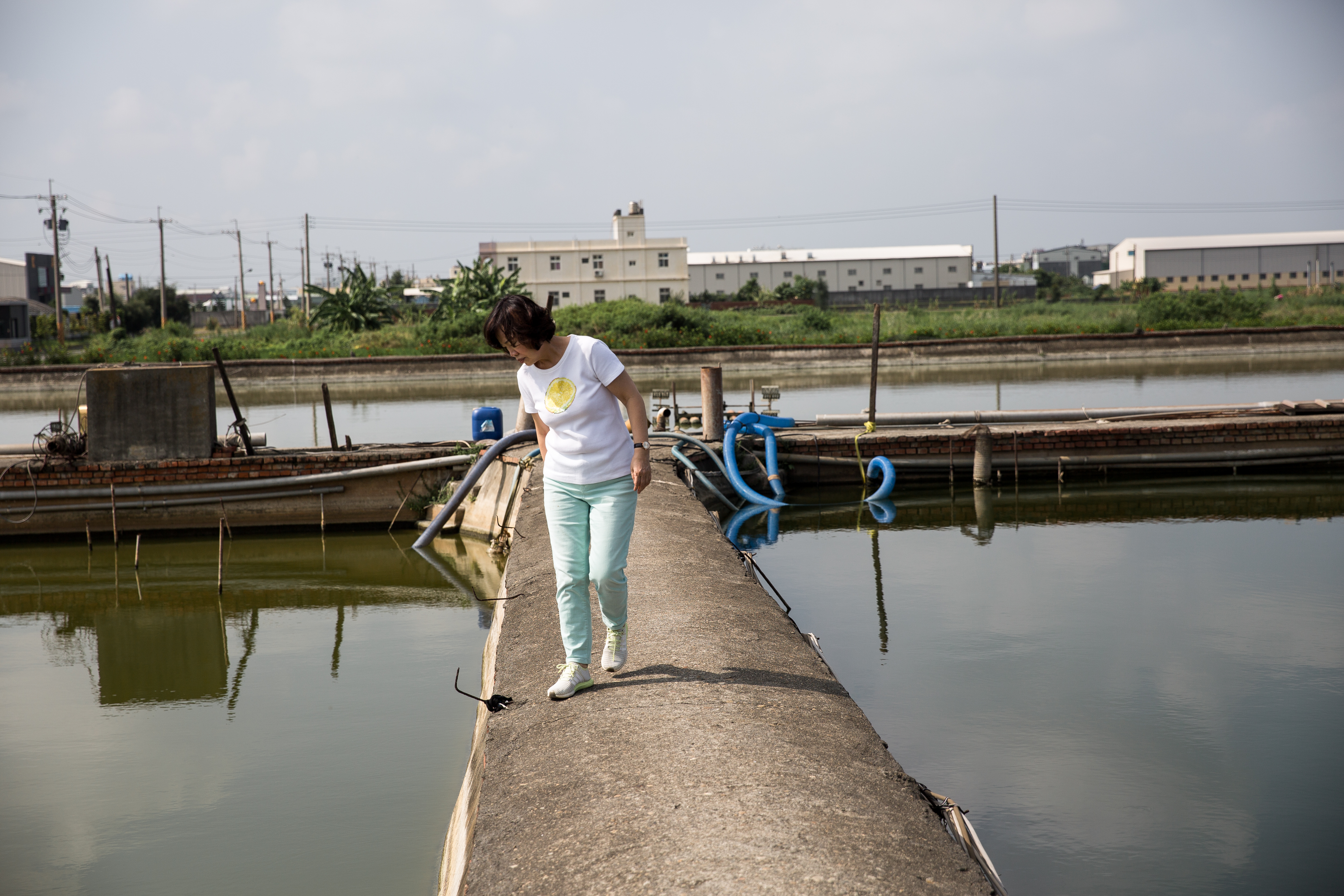 旺生企業總經理郭瓊英對台灣鰻魚產業發展感到憂心忡忡，圖為巡視鹿港鰻魚養殖廠。
