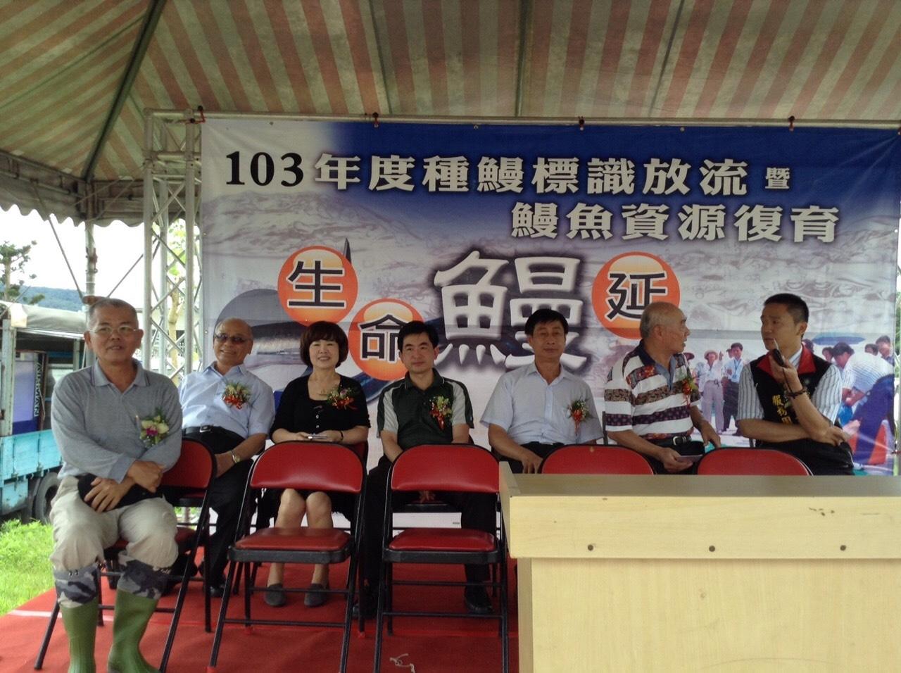 政府每天都會在西部河口流域施放種鰻,為鰻苗復育盡一份心力。(旺生提供)